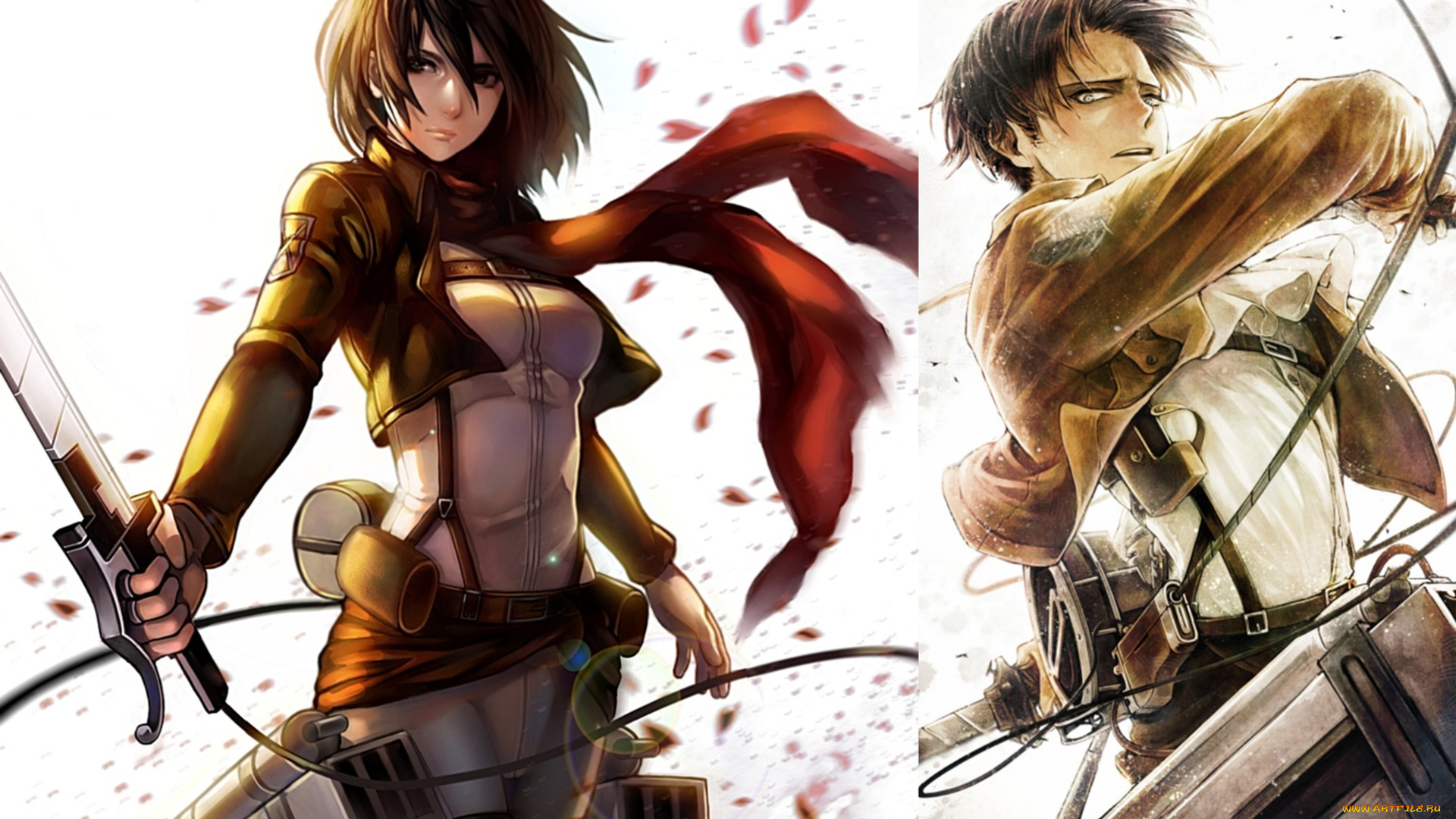 shingeki, no, kyojin, аниме