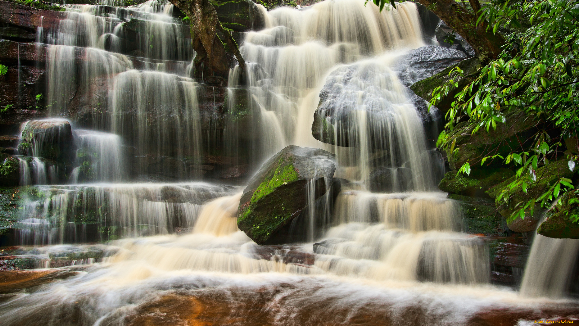 somersby, falls, brisbane, water, national, park, australia, природа, водопады, каскад, австралия