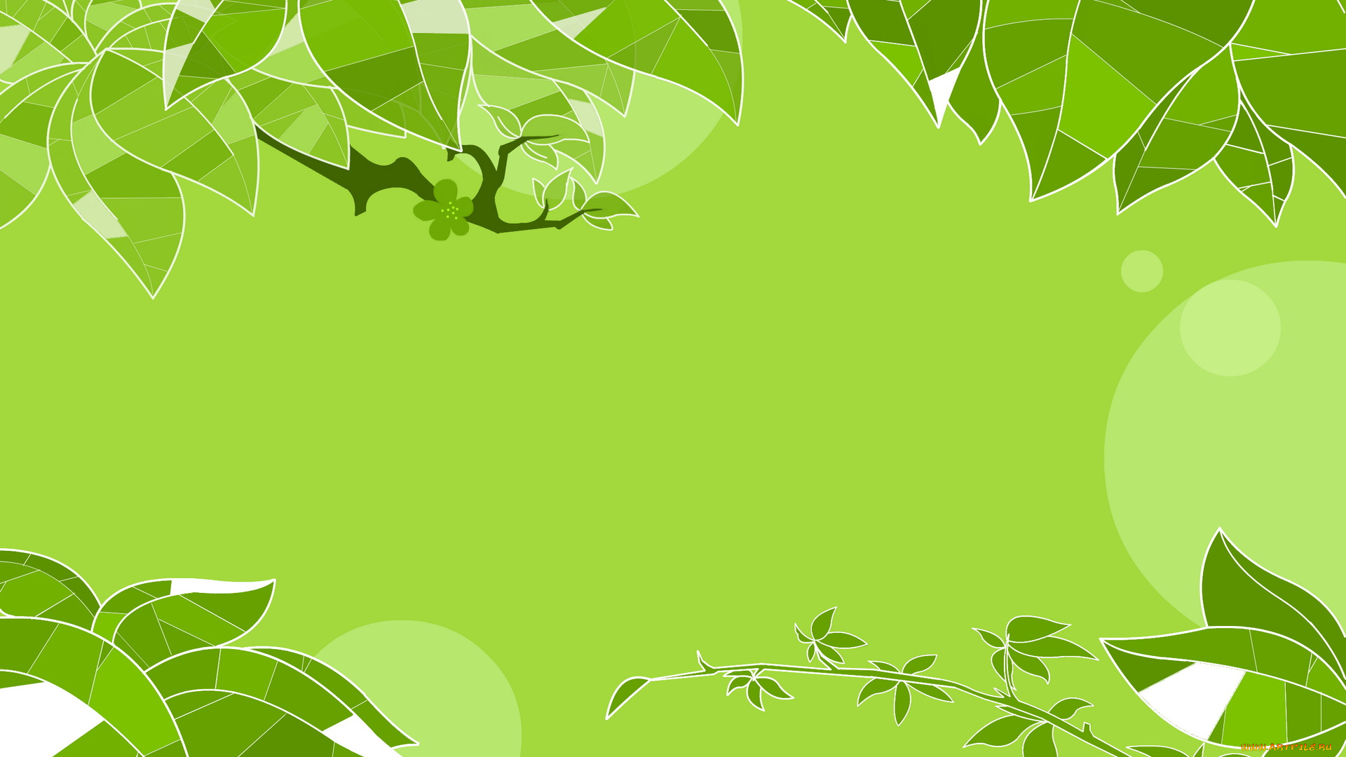 векторная, графика, листья, ветки