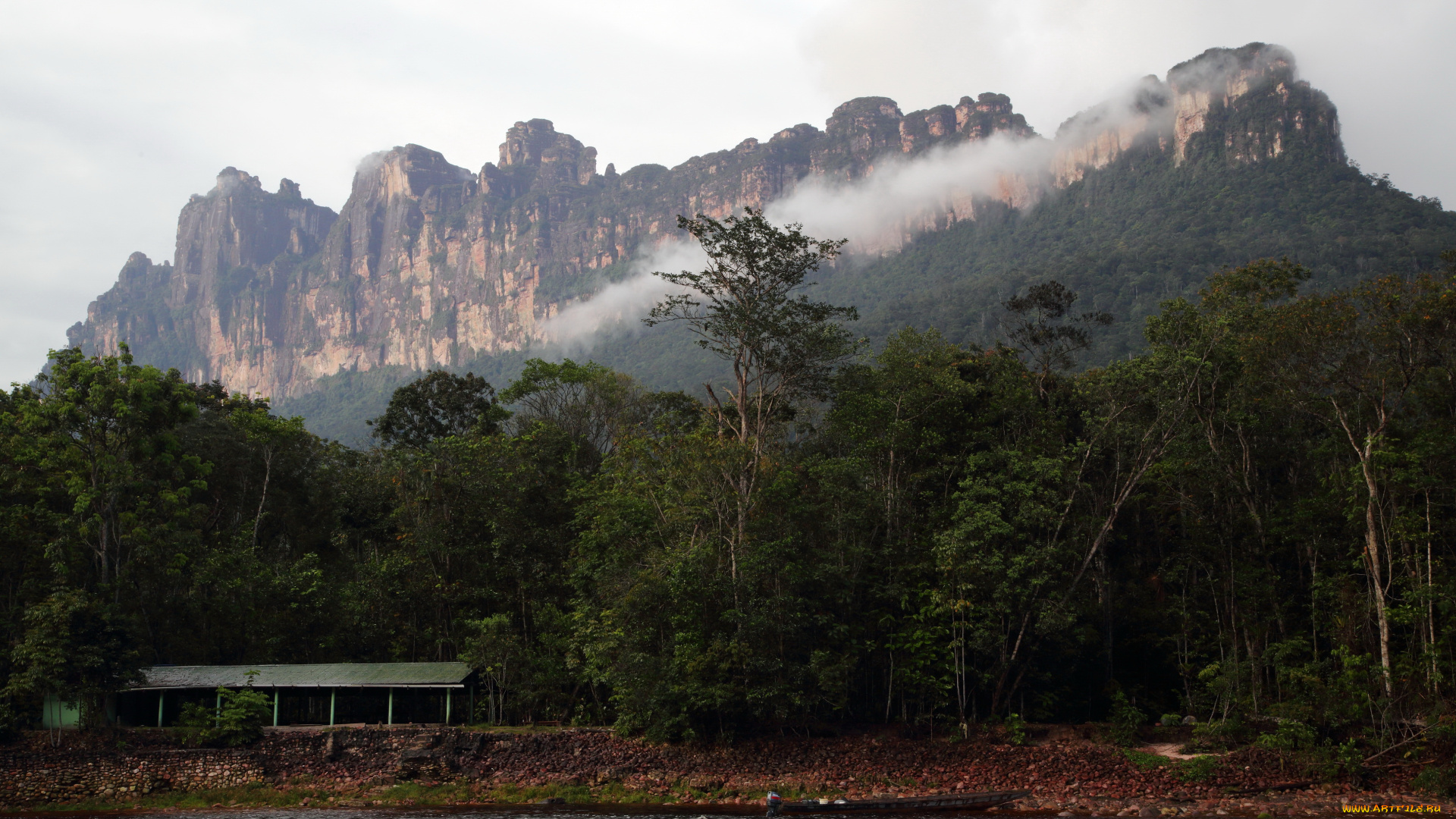 венесуэла, природа, побережье, река, лес, горы