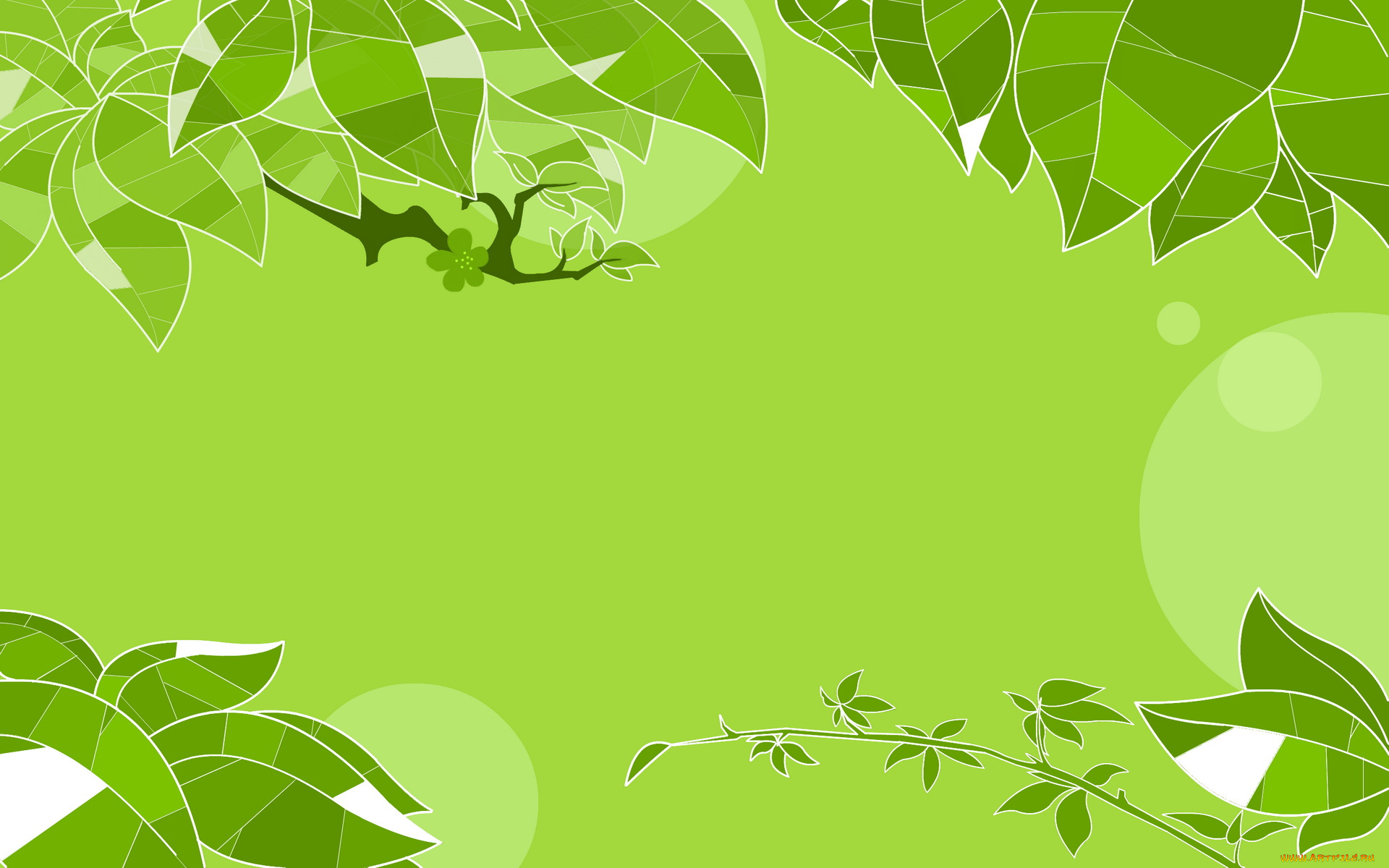 векторная, графика, листья, ветки