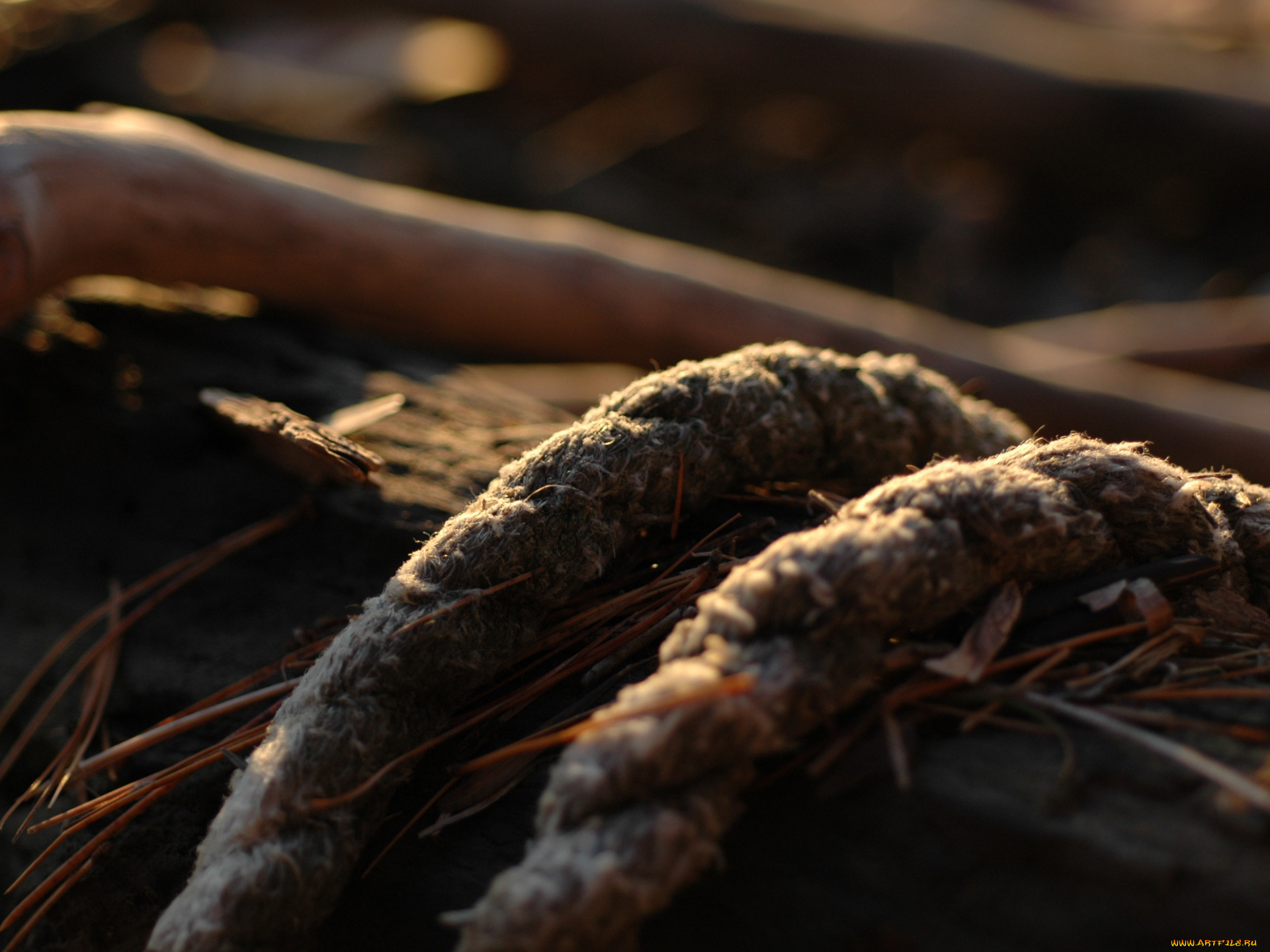 канат, разное, строительные, инструменты, запчасти, механизмы, пенька