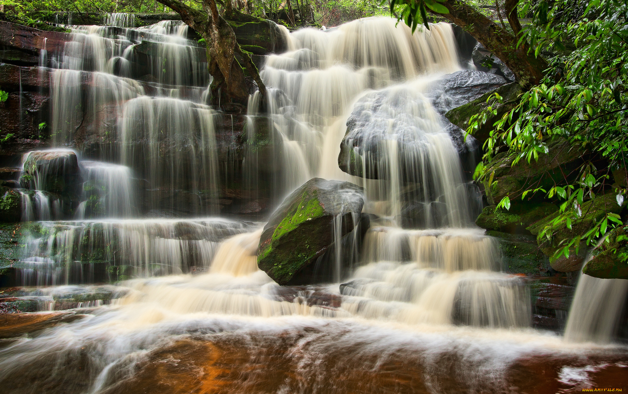 somersby, falls, brisbane, water, national, park, australia, природа, водопады, каскад, австралия