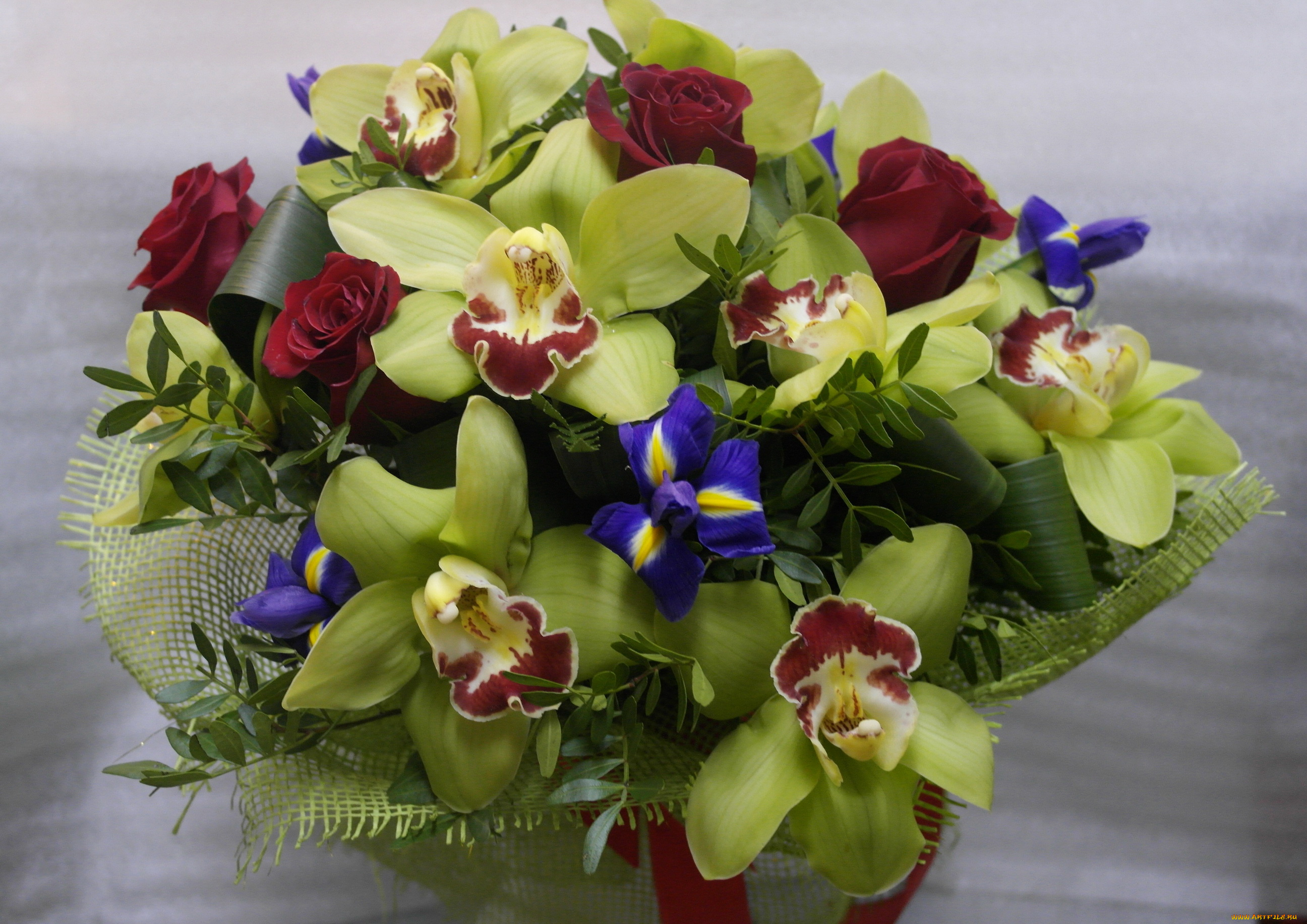 цветы, букеты, композиции, ирис, букет