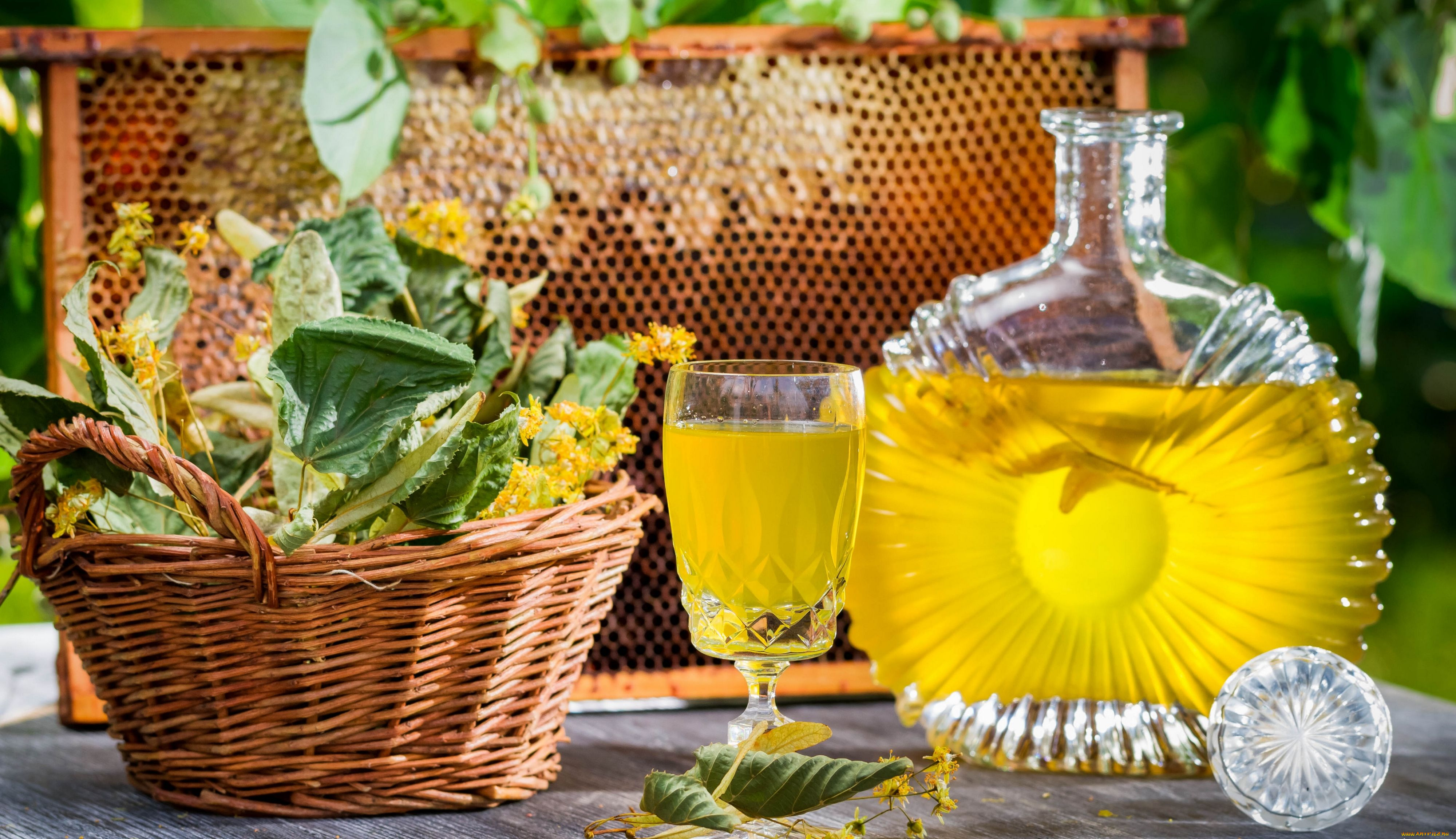 еда, напитки, вино, мид, медовое, липа, бутылка, бокал