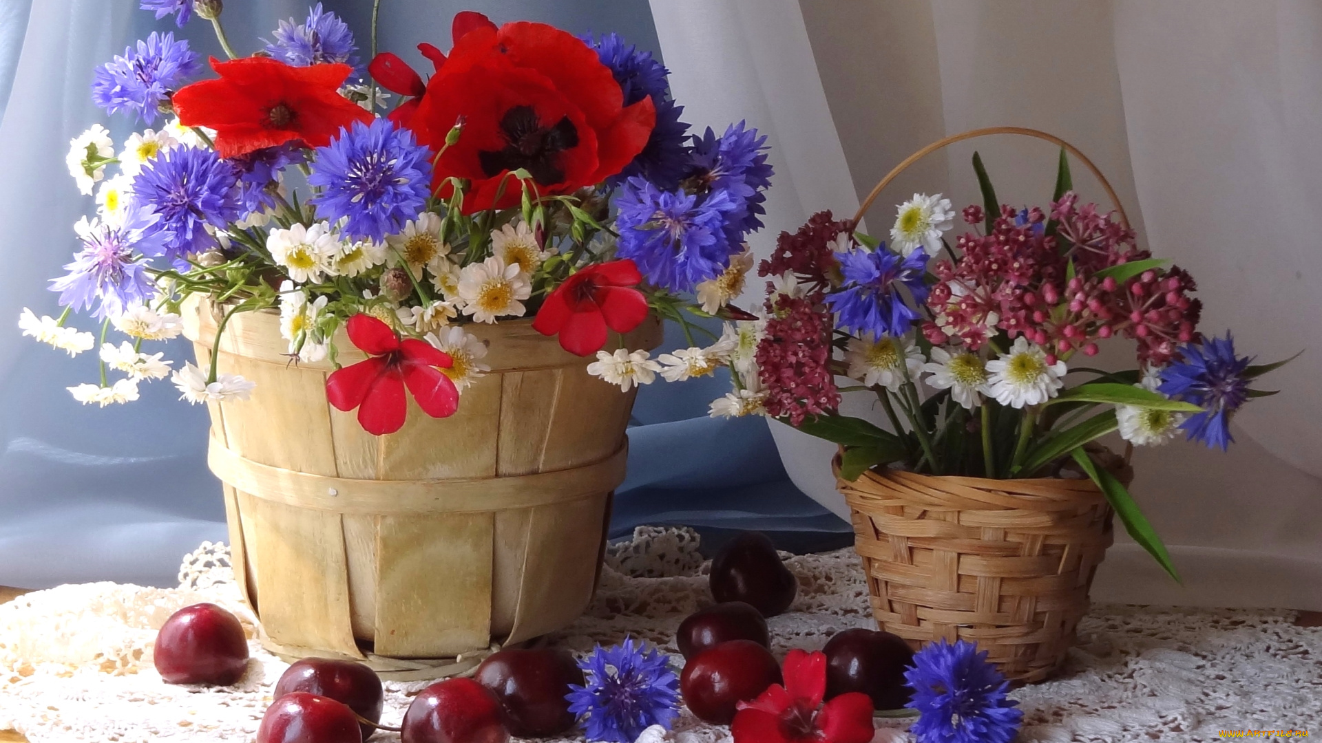 цветы, луговые, , полевые, , цветы, васильки, маки, ромашки