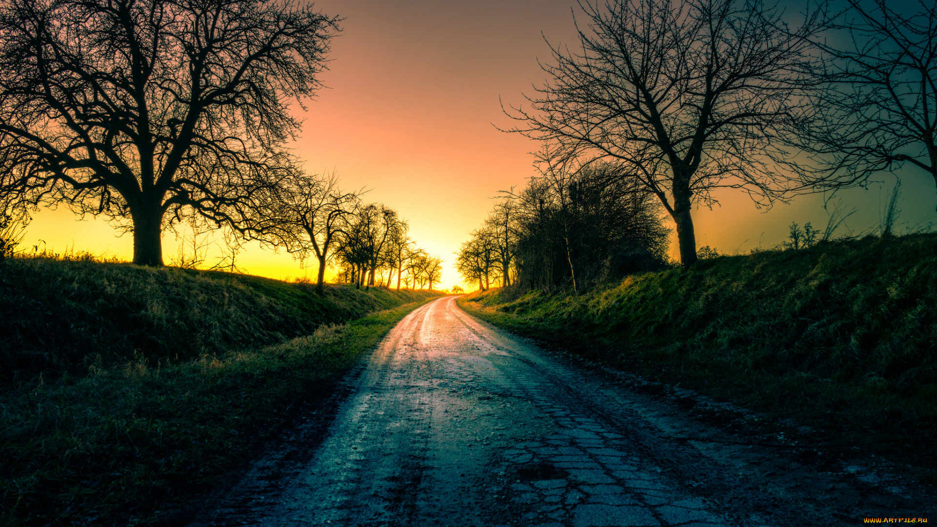 природа, дороги, дорога, осень, мокро, деревья, закат, вечер