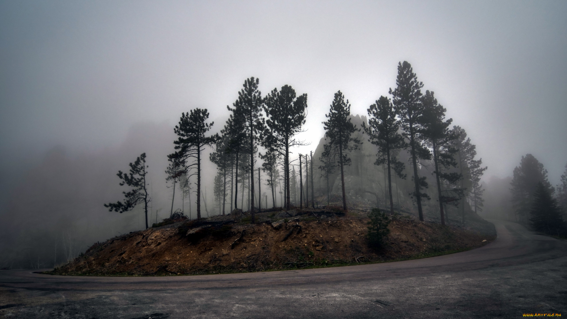 природа, дороги, туман, деревья, пейзаж