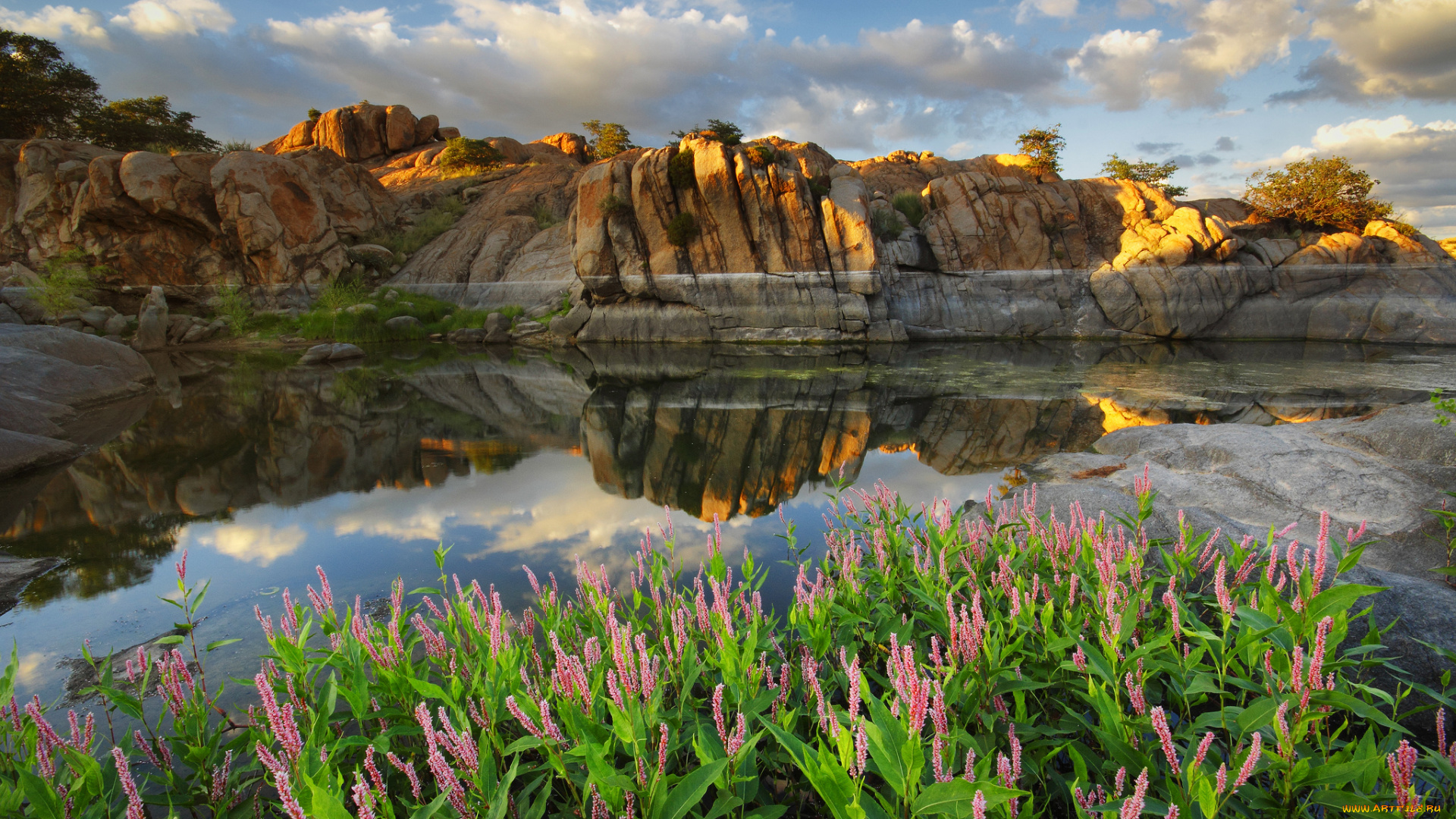 природа, реки, озера, цветы, облака, отражение, сша, озеро, скалы, аризона, watson, lake, arizona, prescott