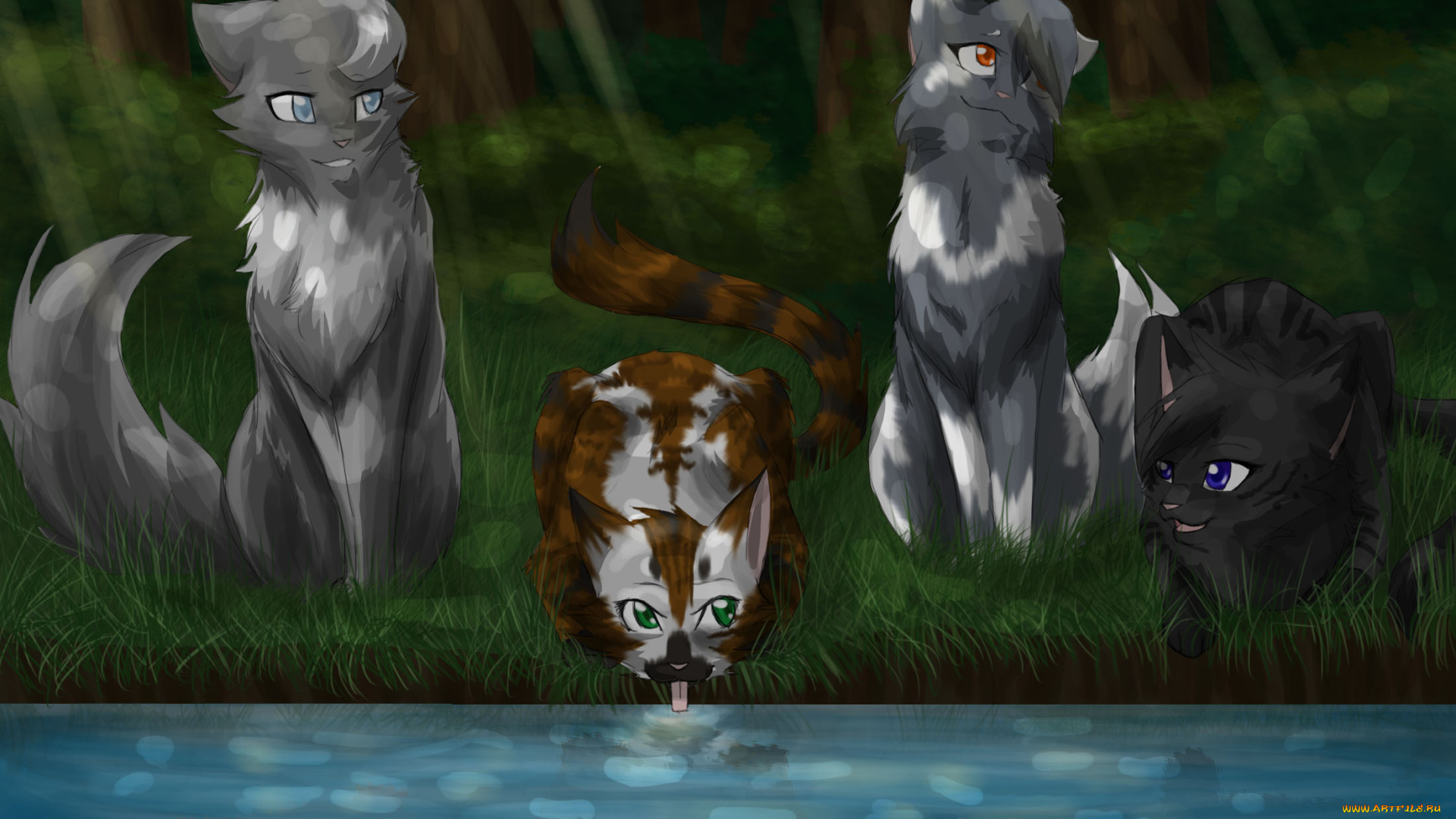 рисованные, животные, , коты, река, коты