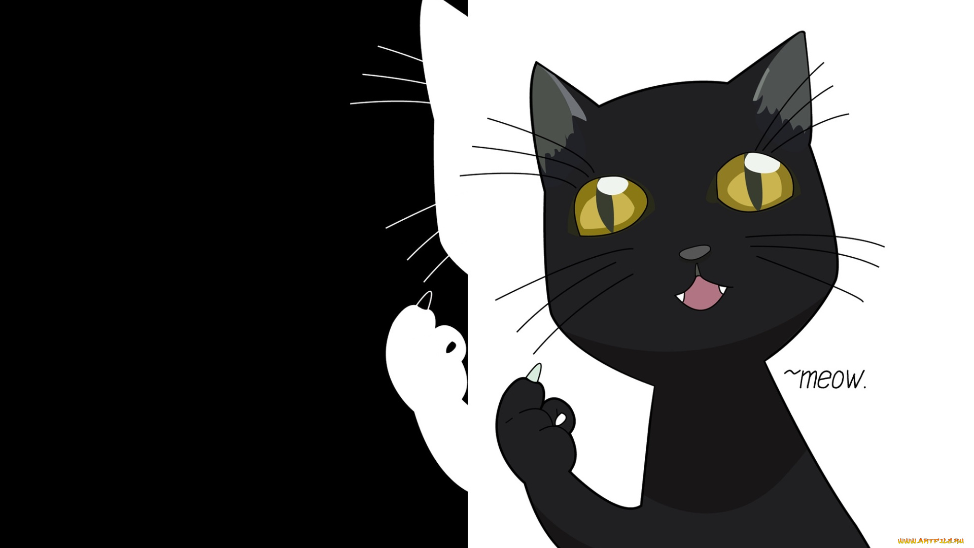 векторная, графика, животные, жёлтые, глаза, черно-белый, фон, кот