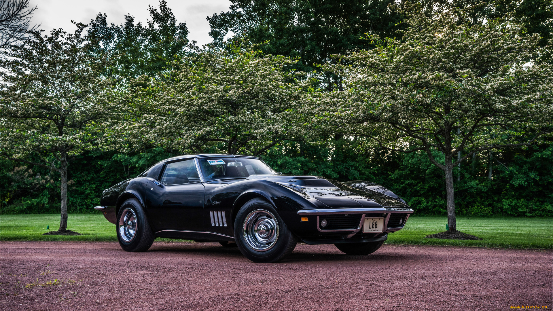 автомобили, corvette