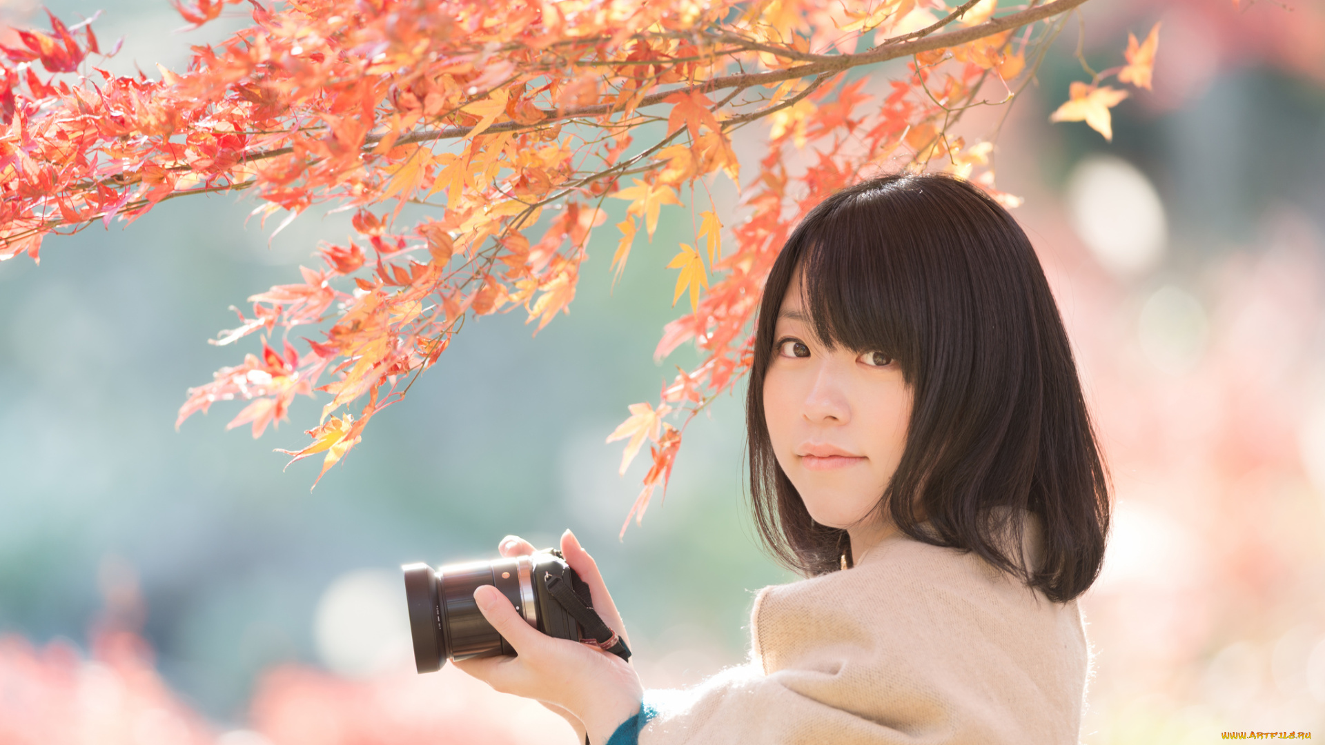 девушки, -unsort, , лица, , портреты, осень, фотоаппарат, листья, ветки, взгляд, фотограф, азиатка, ryuichi, miyazaki