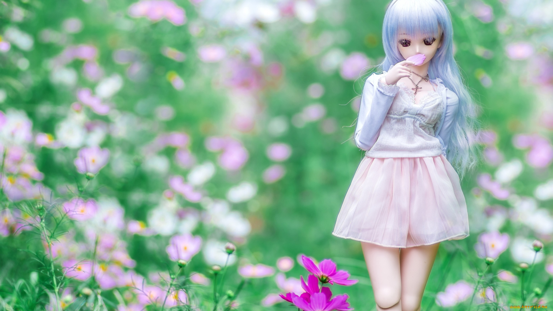 разное, игрушки, кукла, девушка, космея, луг, лето