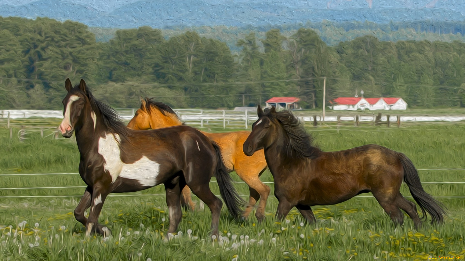 разное, компьютерный, дизайн, загон, кони, лошади, трава, гривы