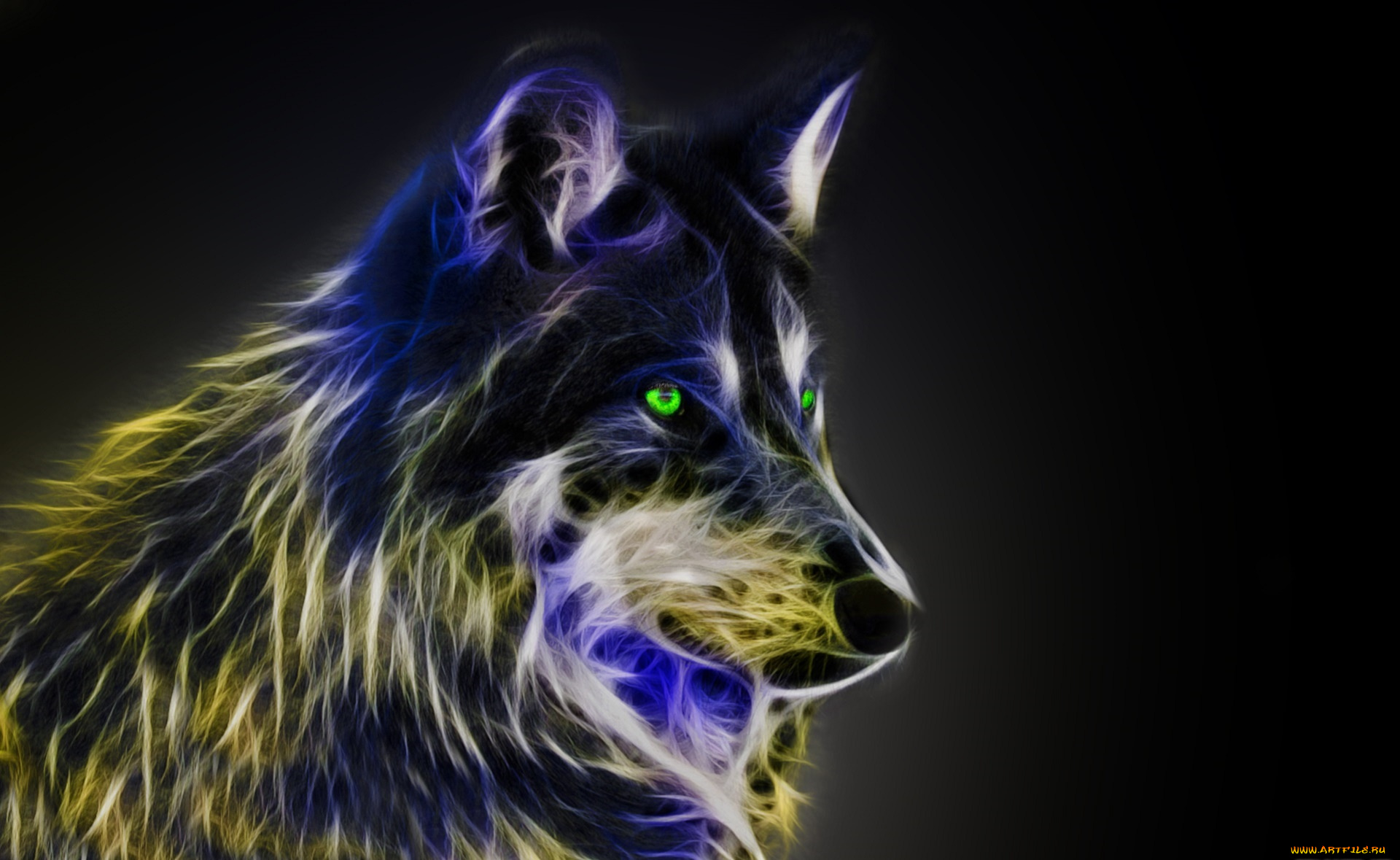 разное, компьютерный, дизайн, собака, взгляд