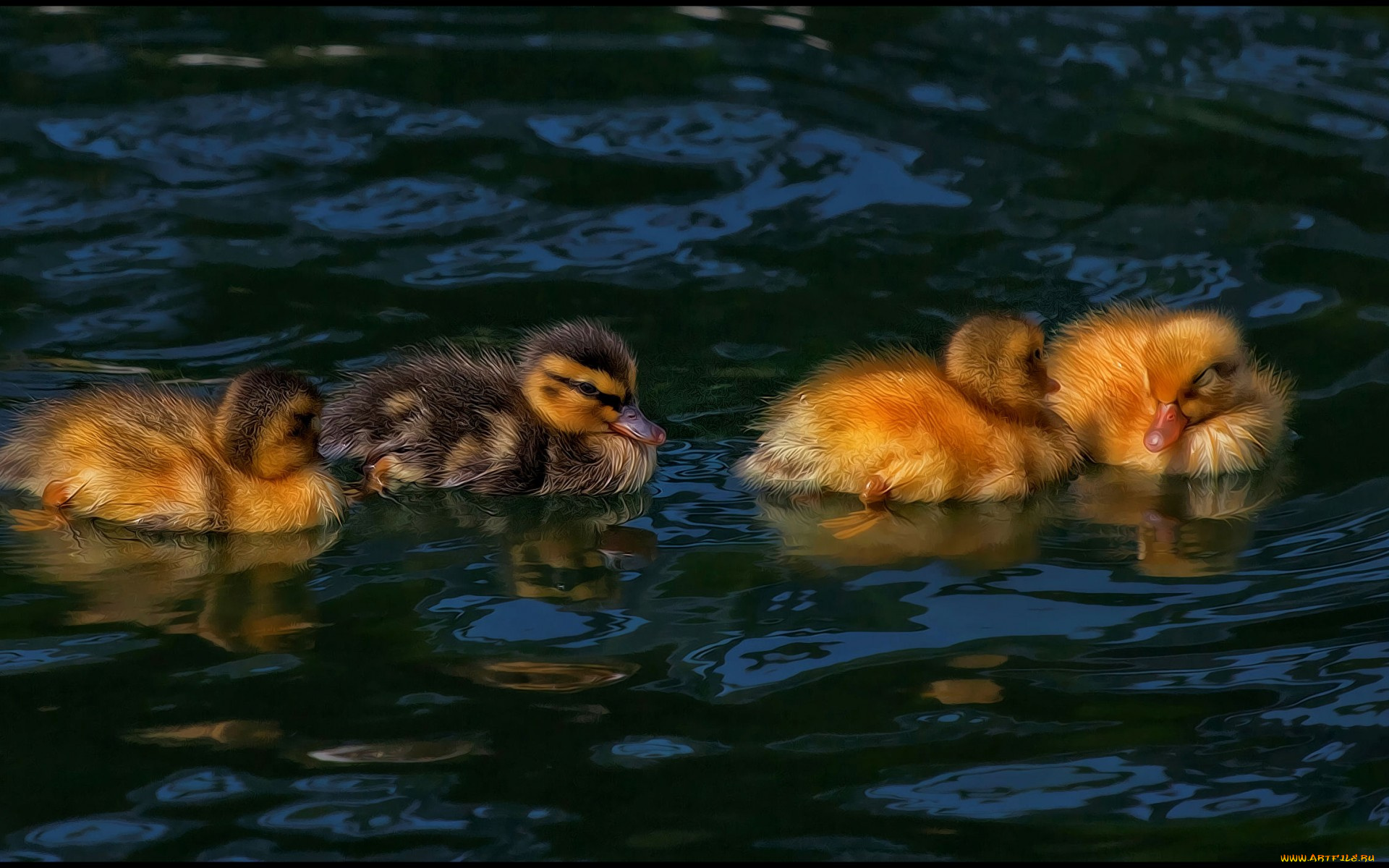 разное, компьютерный, дизайн, hdr, утята, утки, птенцы, водоем