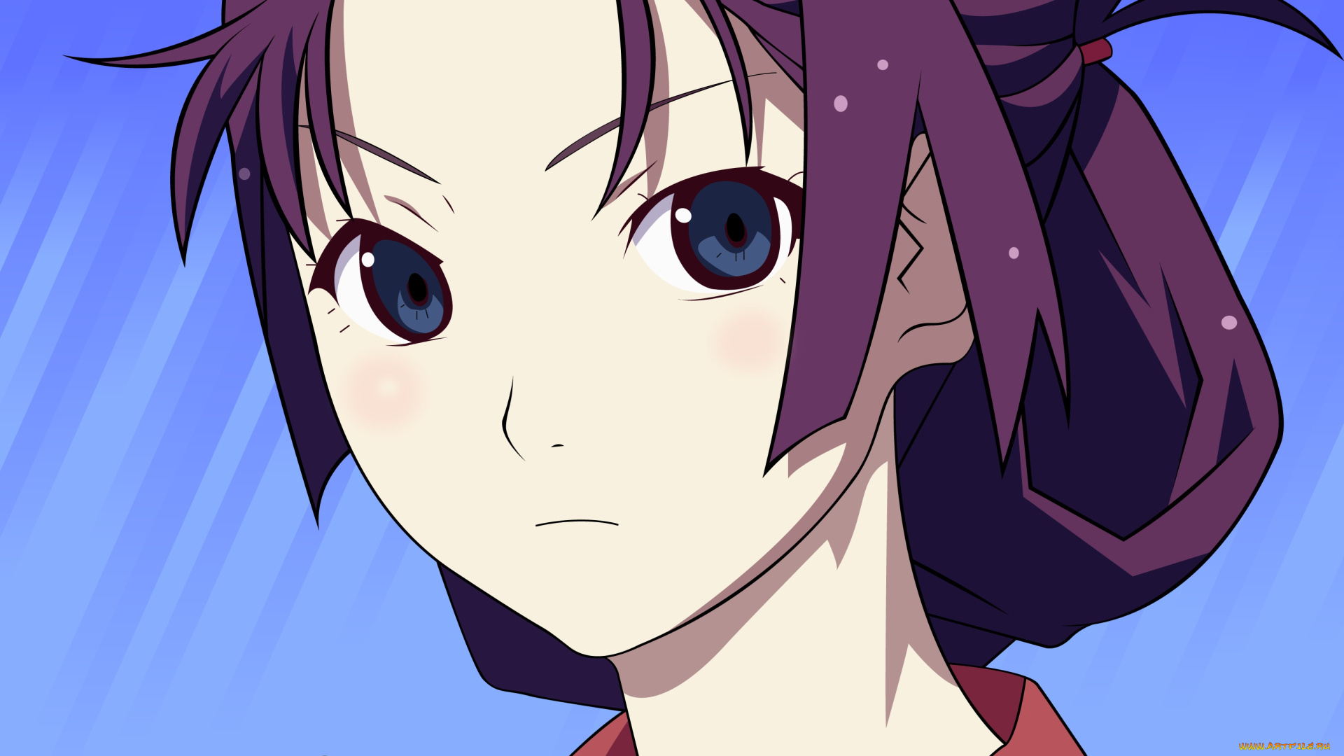 аниме, bakemonogatari, фон, взгляд, девушка