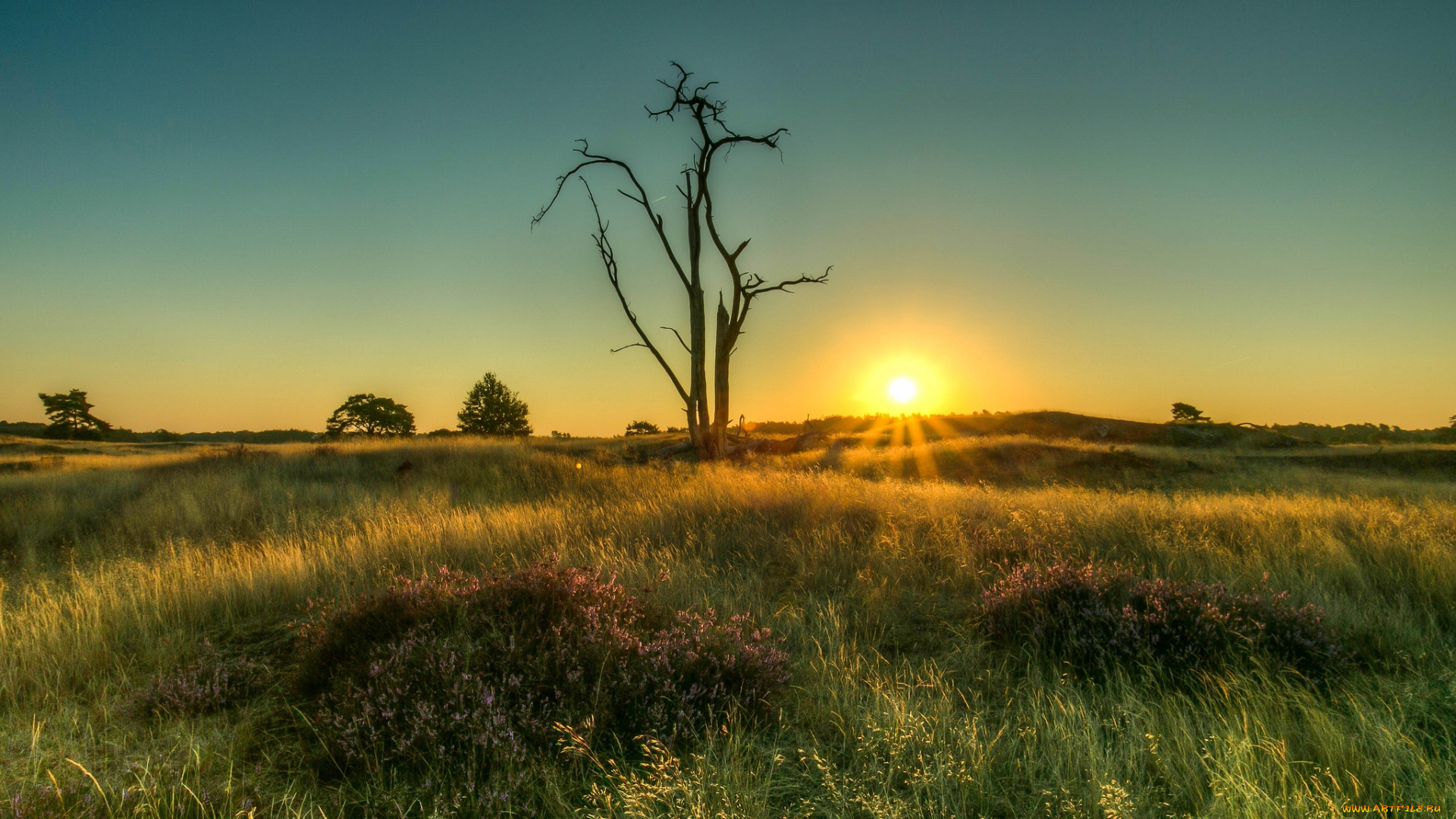 природа, восходы, закаты, рассвет