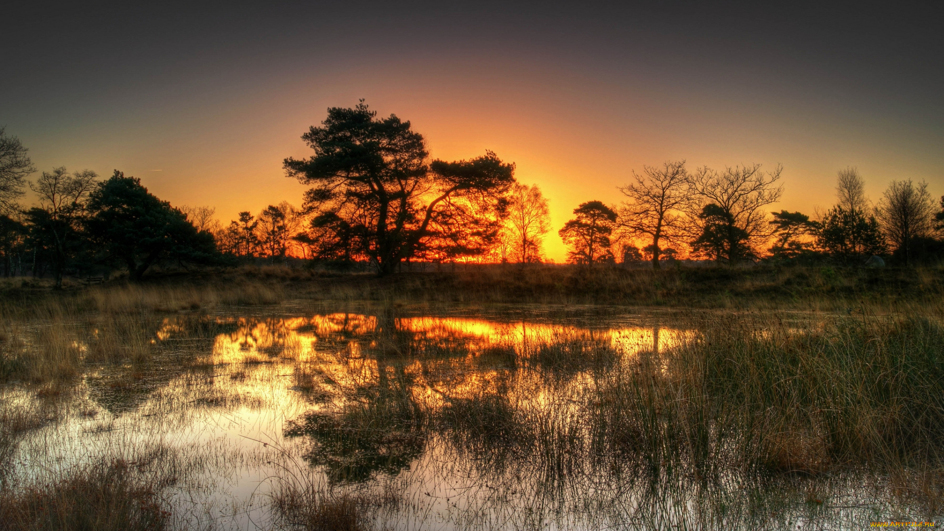 природа, восходы, закаты, рассвет