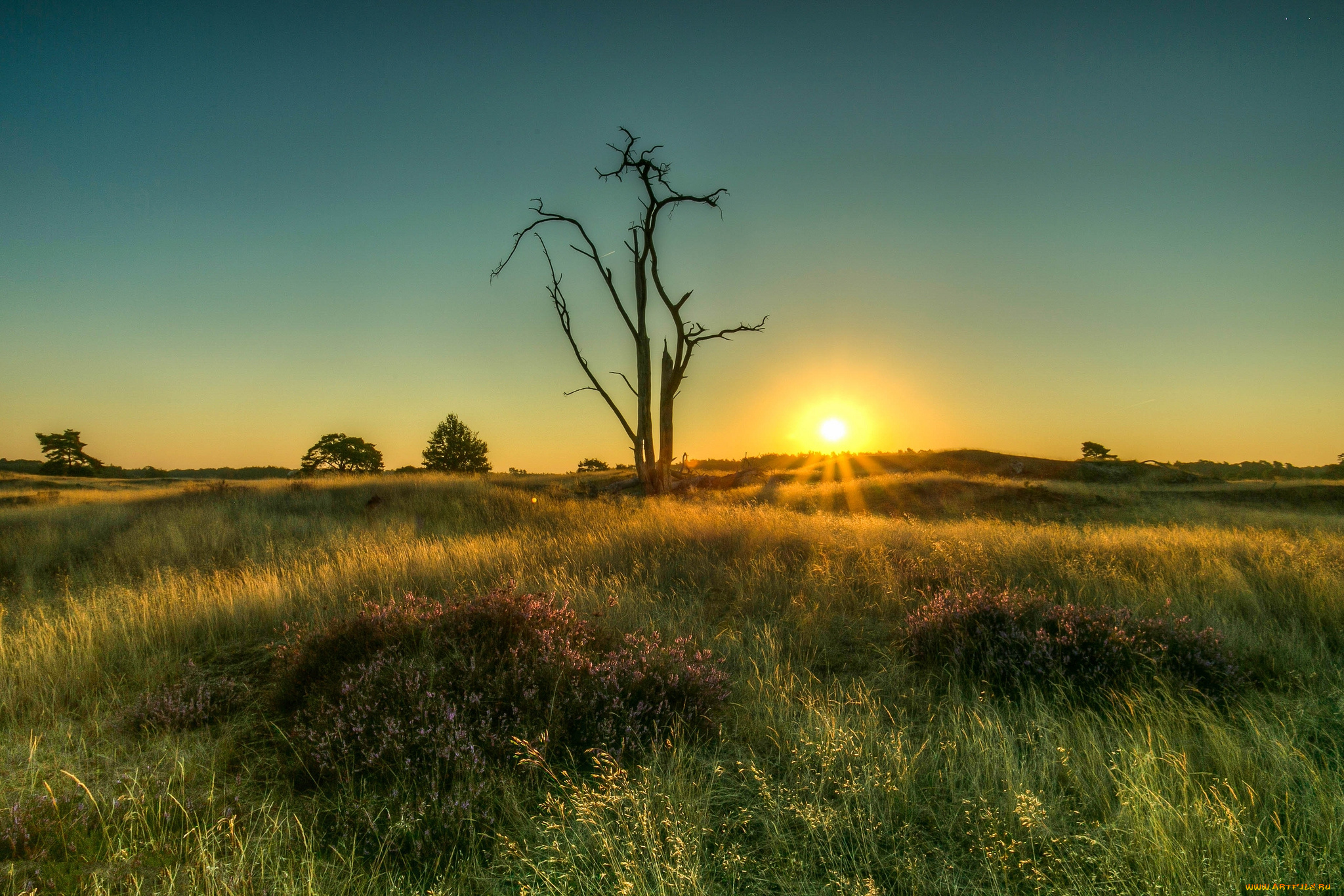природа, восходы, закаты, рассвет