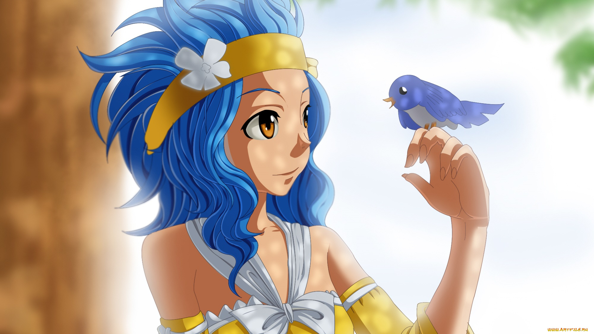 аниме, fairy, tail, хвост, феи