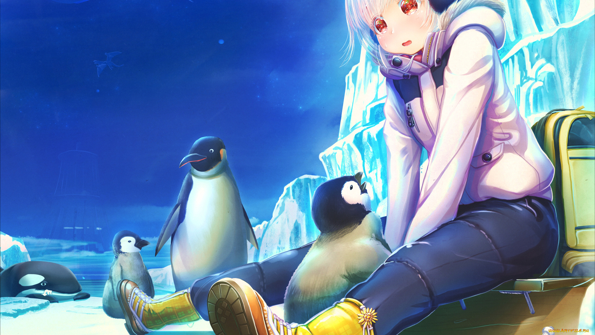 аниме, животные, , существа, пингвины, девушка