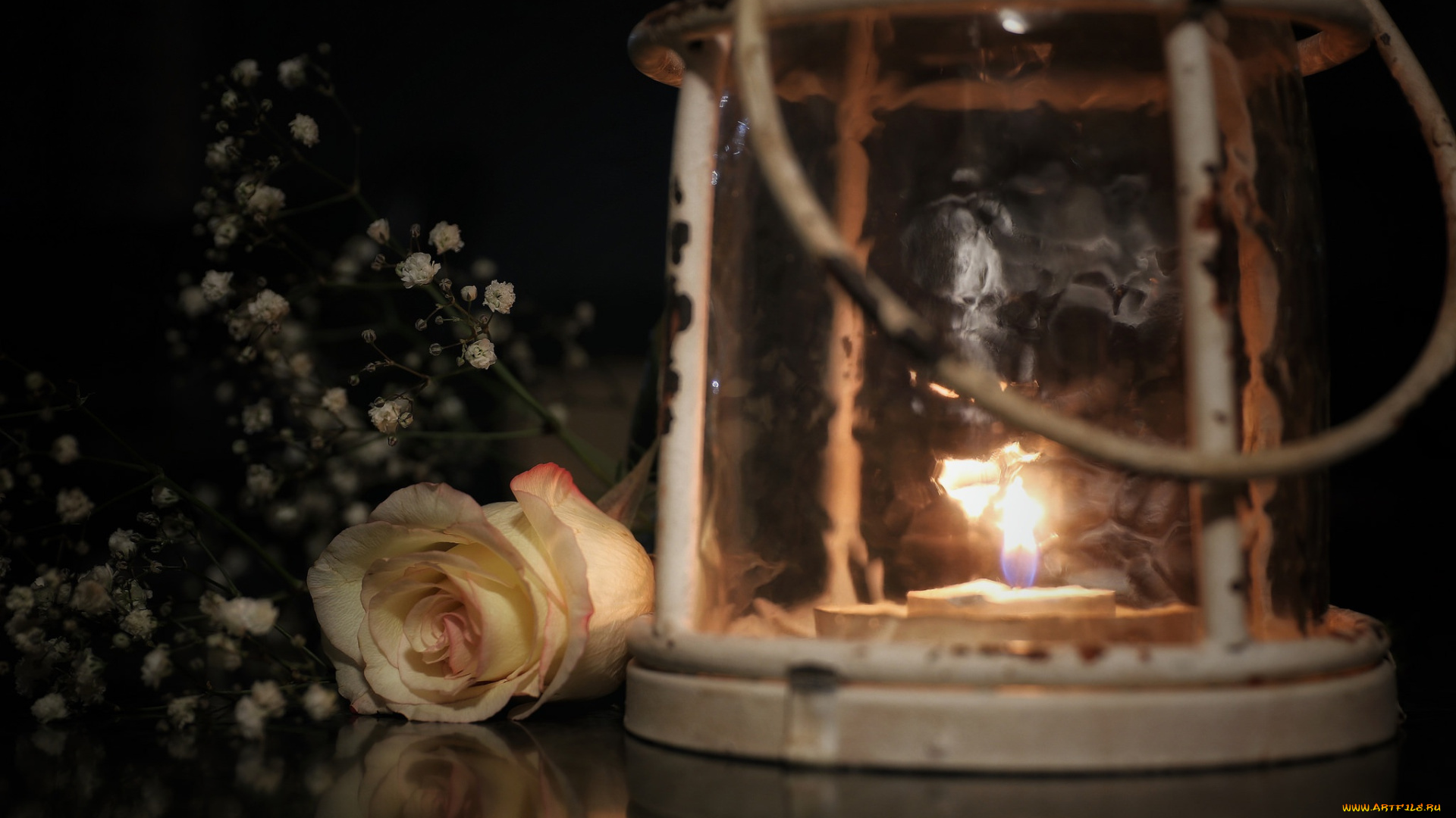 цветы, розы, стиль, лампа, свеча, фонарь, зелень, огонь, роза, бутон, цветок