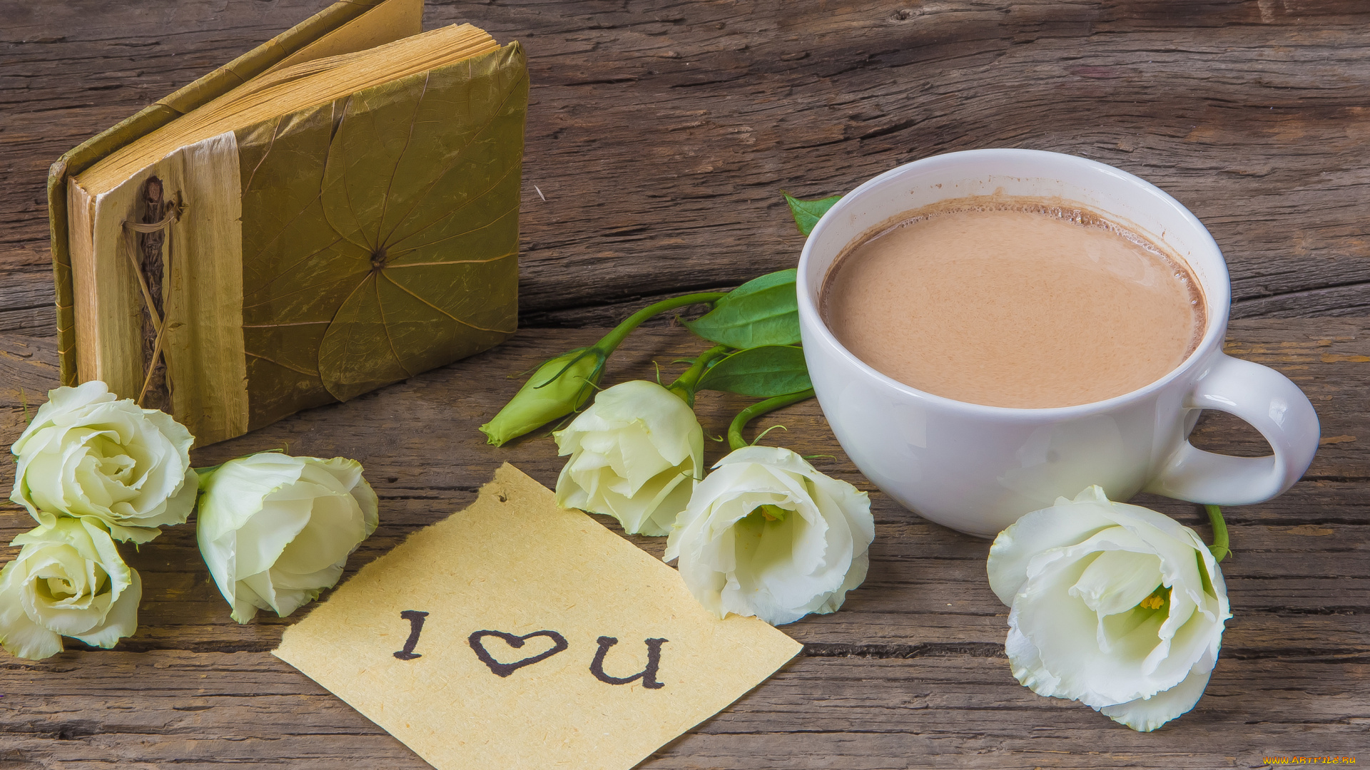 еда, кофе, , кофейные, зёрна, эустома, альбом, горячий, шоколад, внимание, чашка, цветы