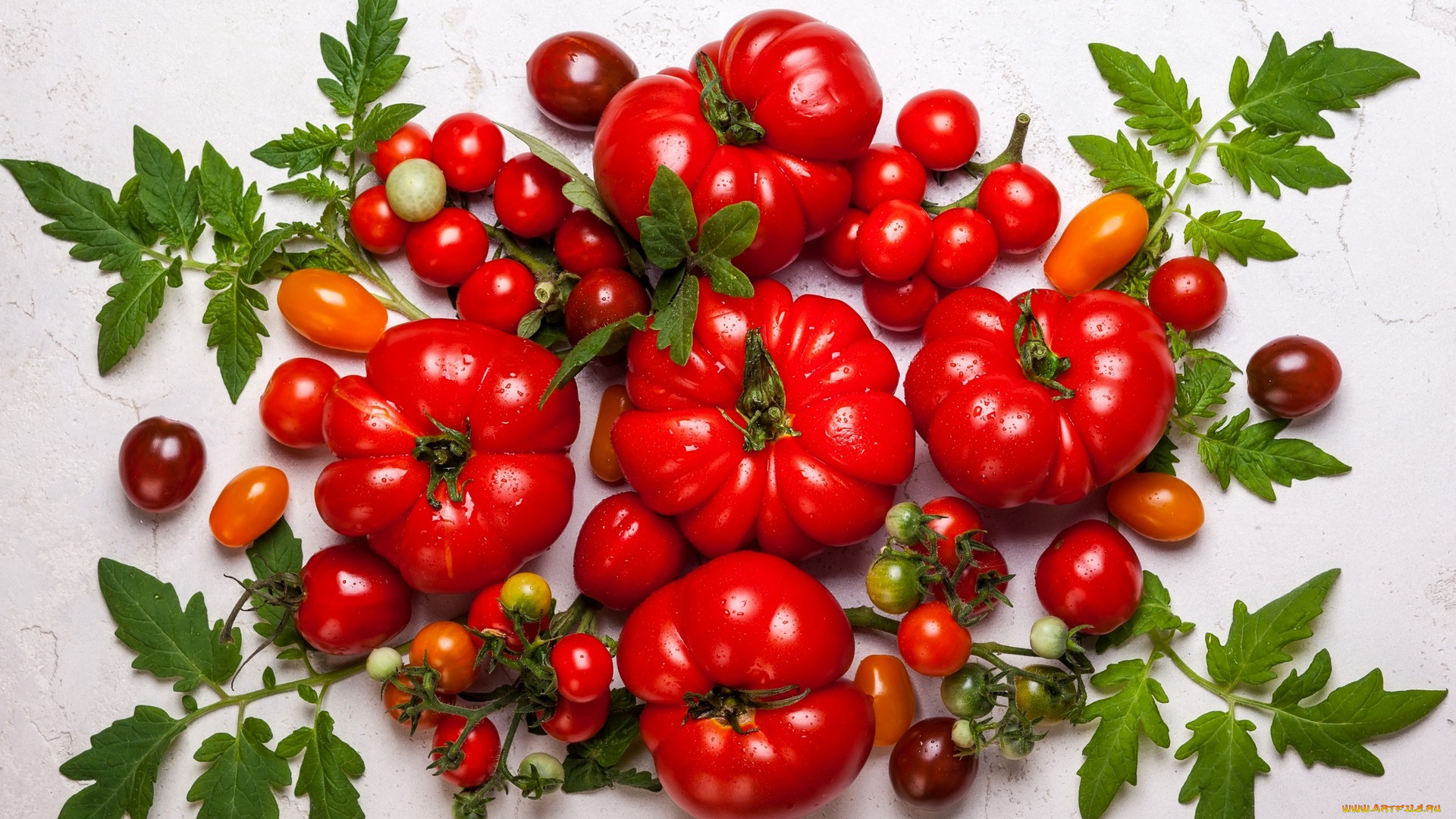 еда, помидоры, томат