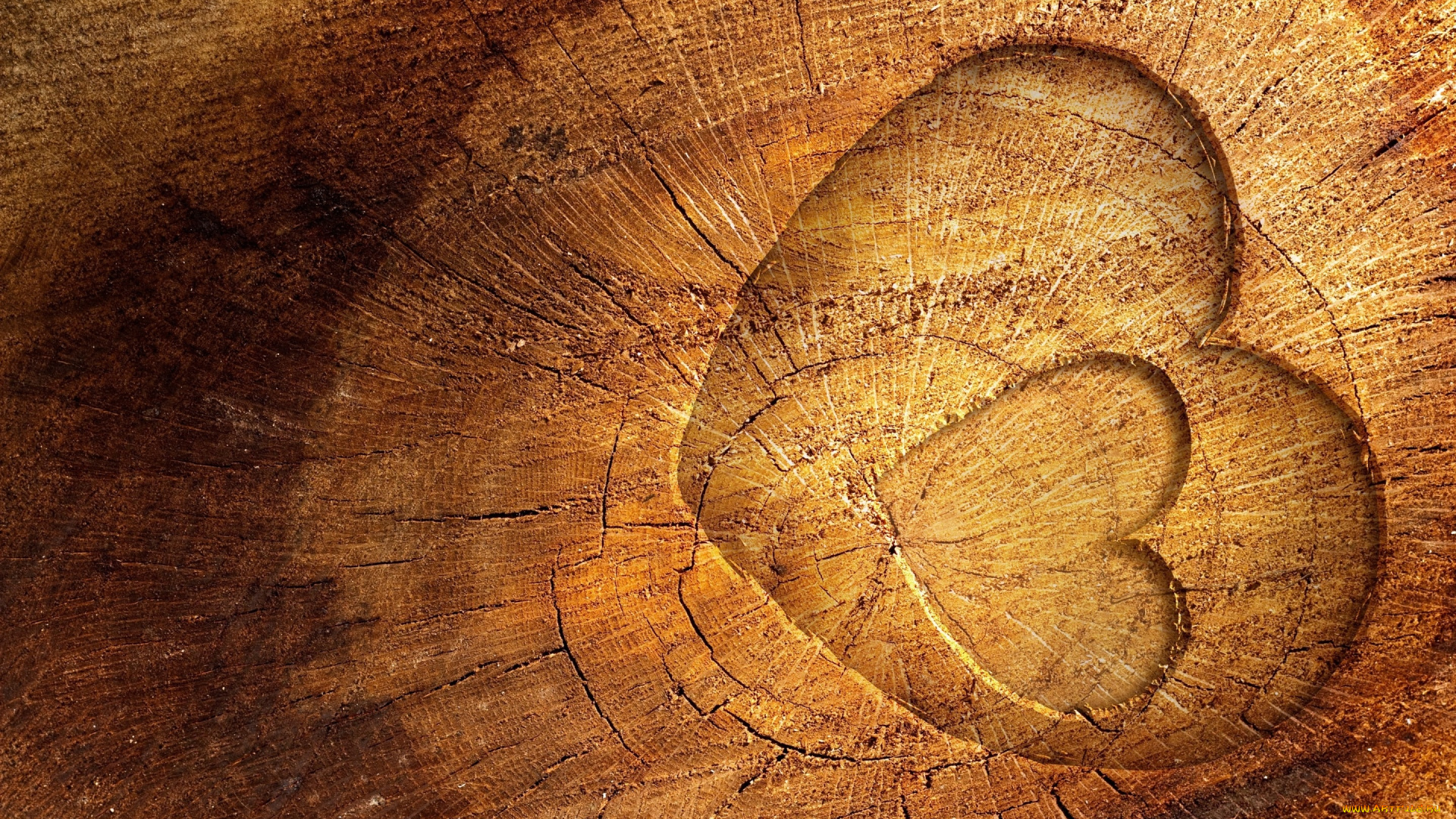 праздничные, день, святого, валентина, , сердечки, , любовь, древесина, сердце, дерево