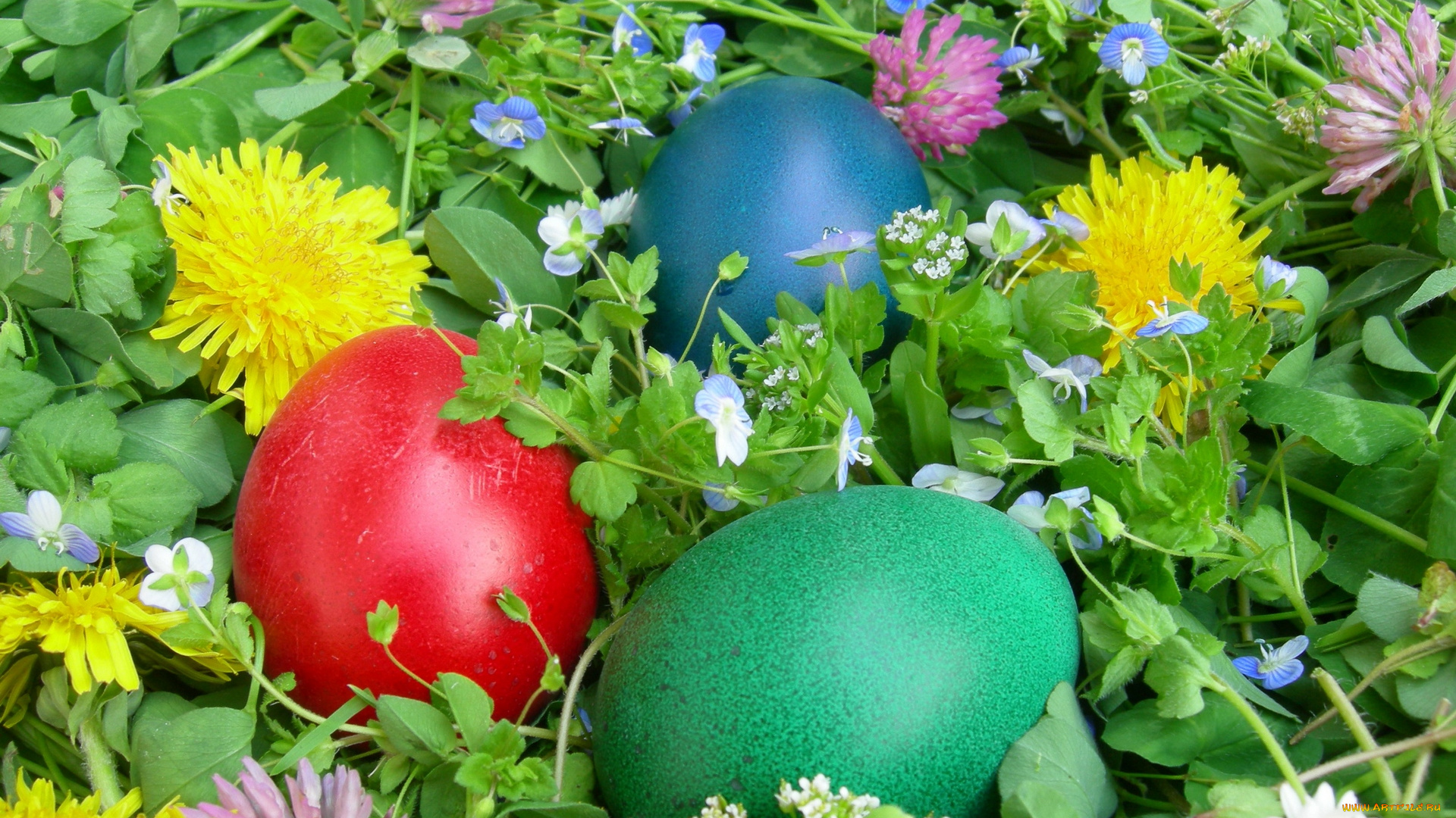 праздничные, пасха, цветы, яйцо