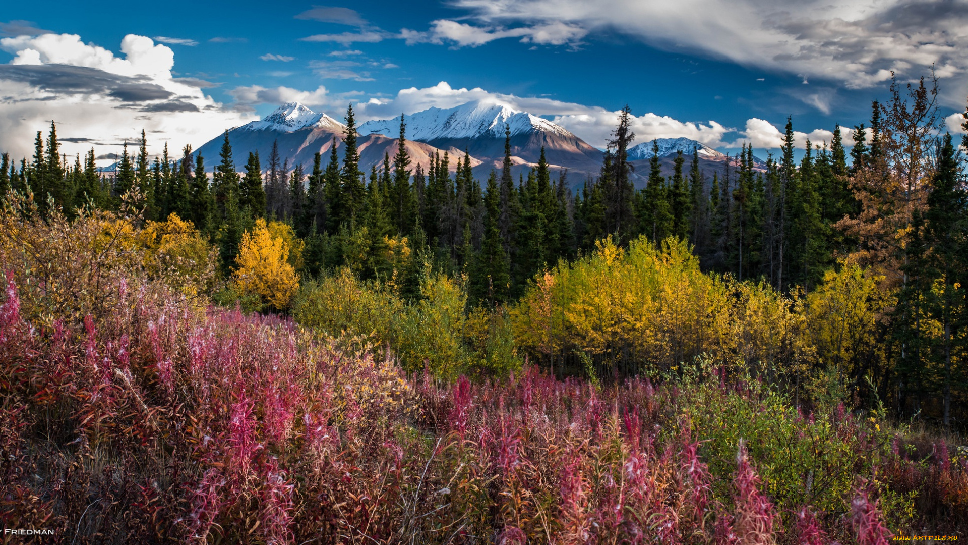 природа, горы, трава, деревья, небо