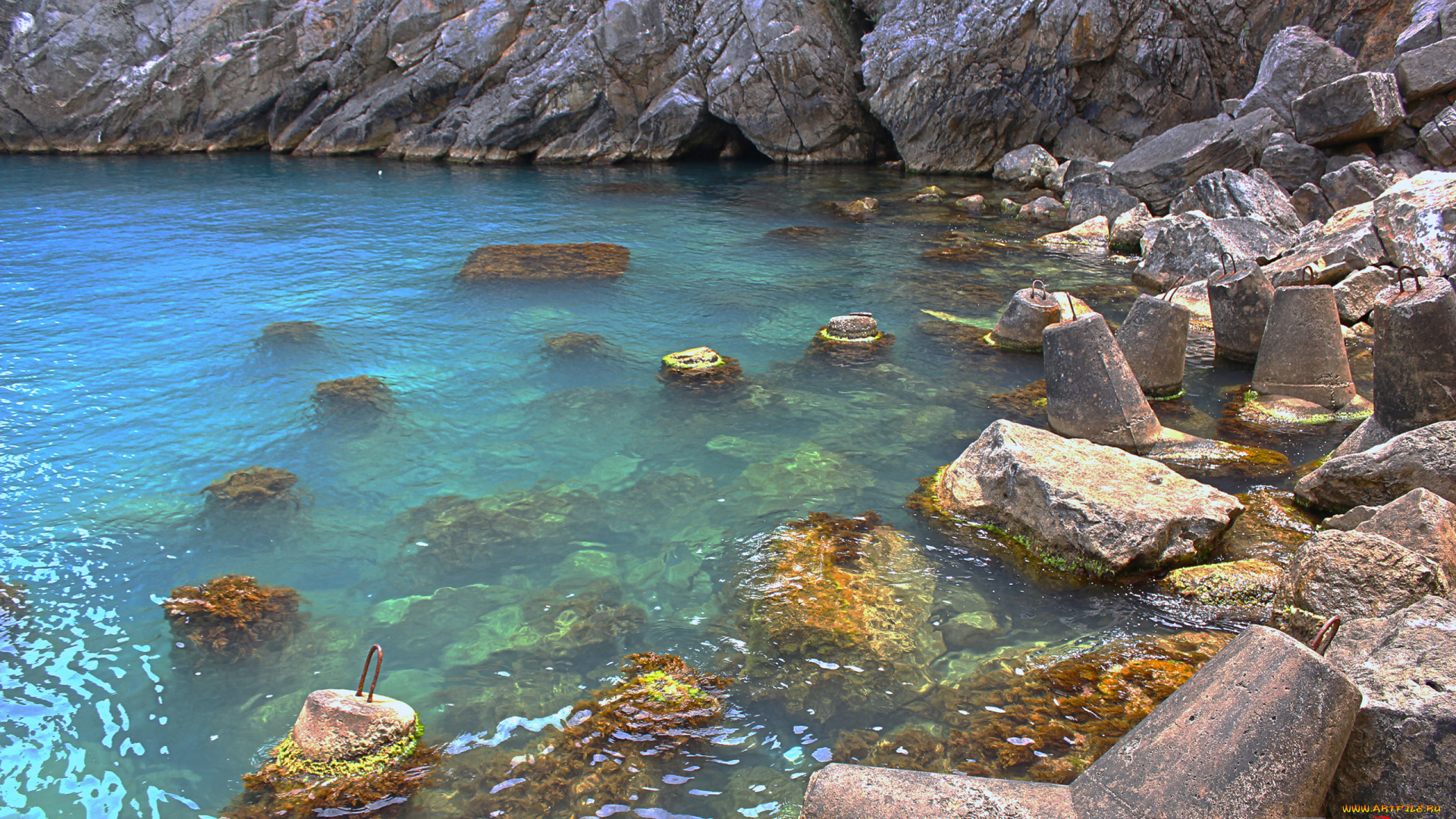 природа, побережье, вода, скалы, камни, море