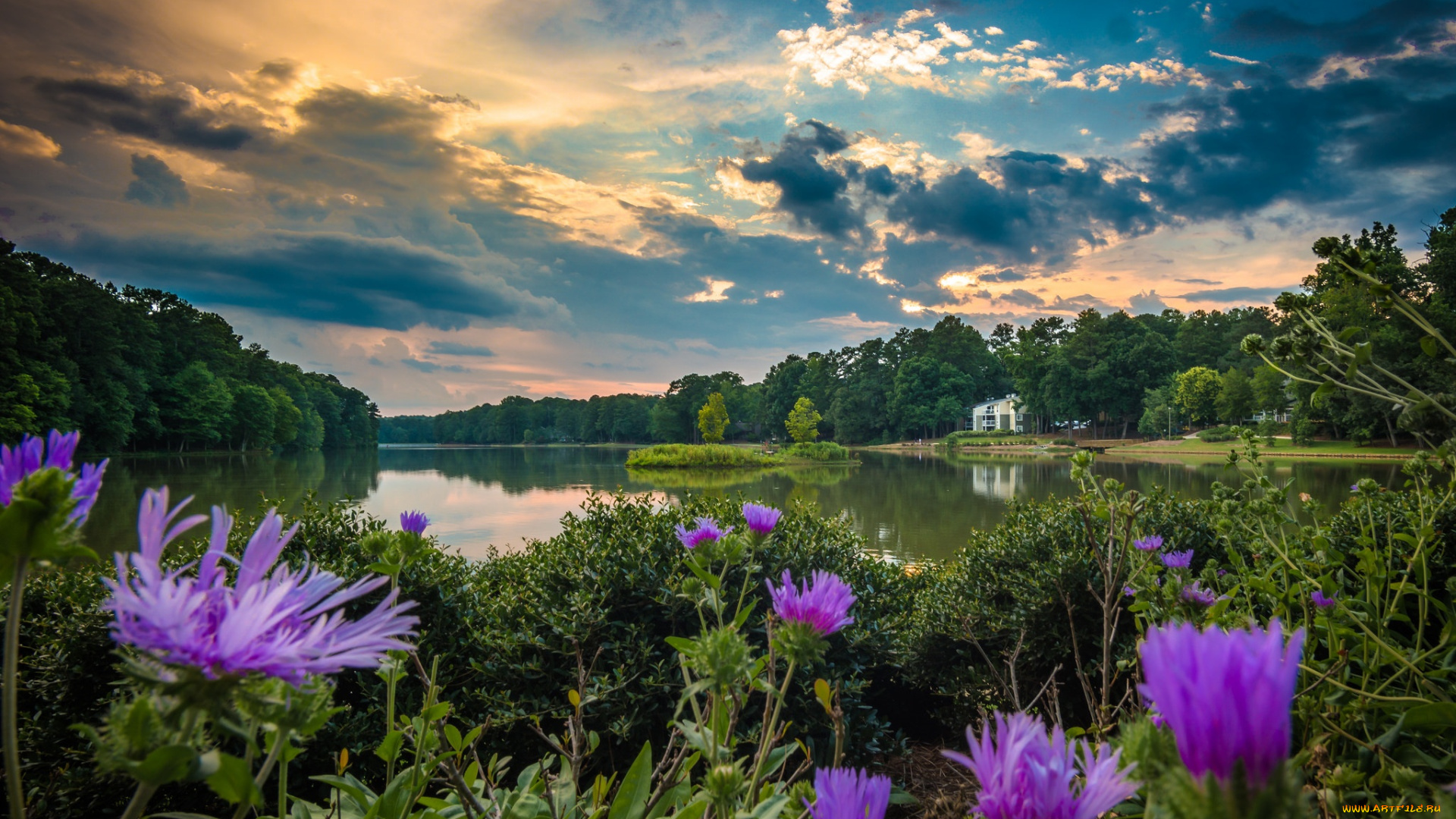 природа, реки, озера, вода, деревья, цветы, облака, река, небо