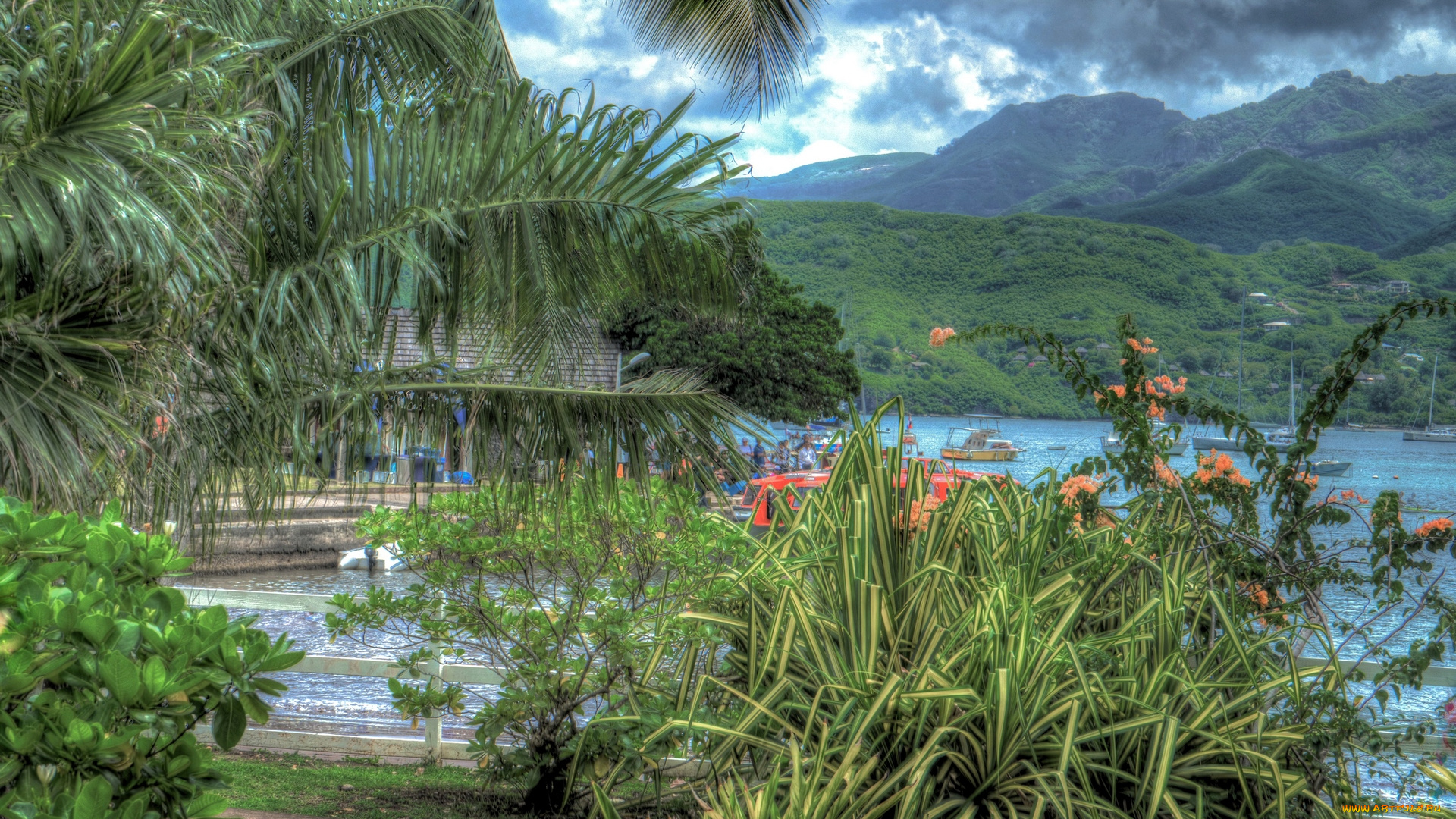 природа, тропики, облака, растения, горы, деревья, пальма, водоем