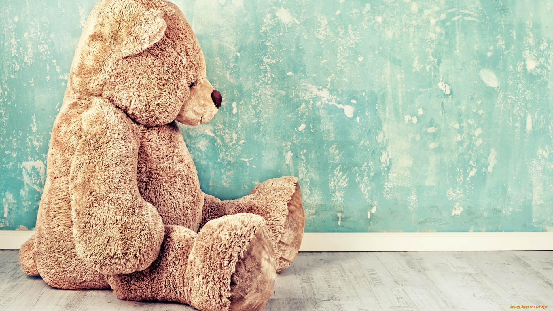 разное, игрушки, мишка, стена, медведь