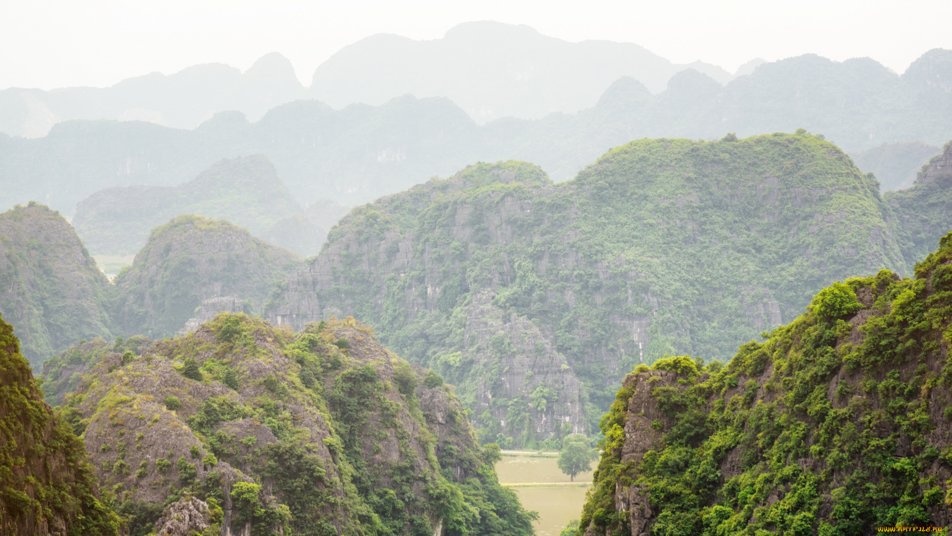 вьетнам, природа, горы, растения