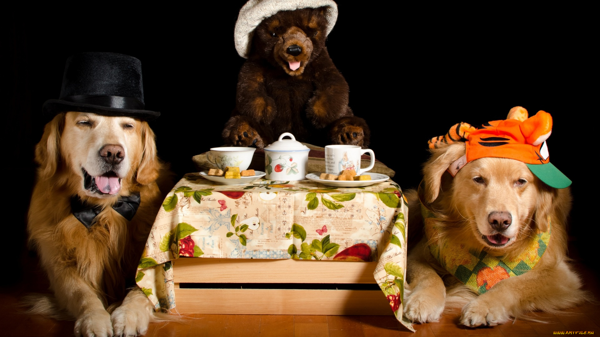 животные, собаки, бейсболка, шляпа, мишка, игрушка, бабочка, чашка