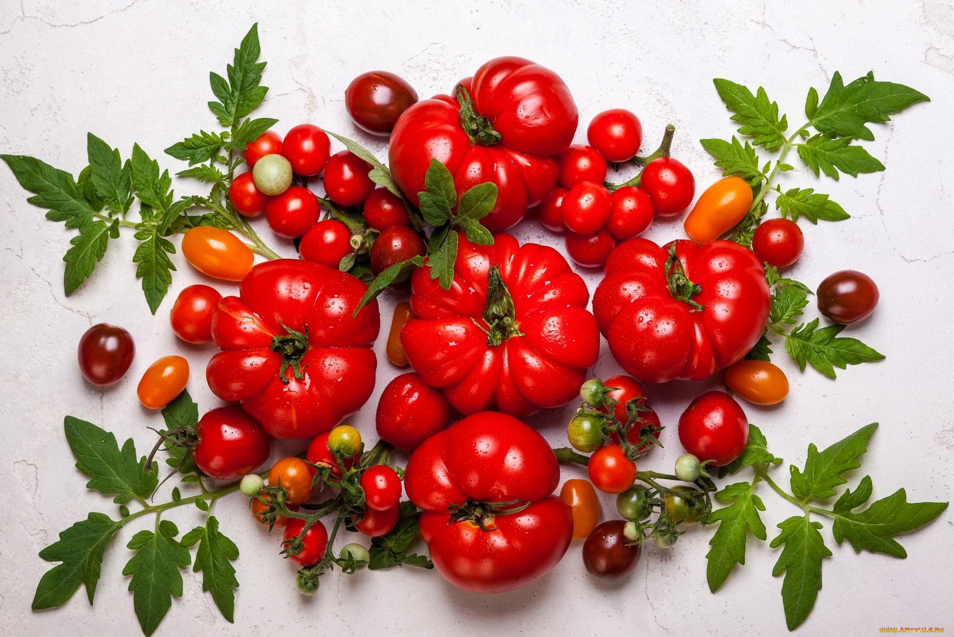 еда, помидоры, томат