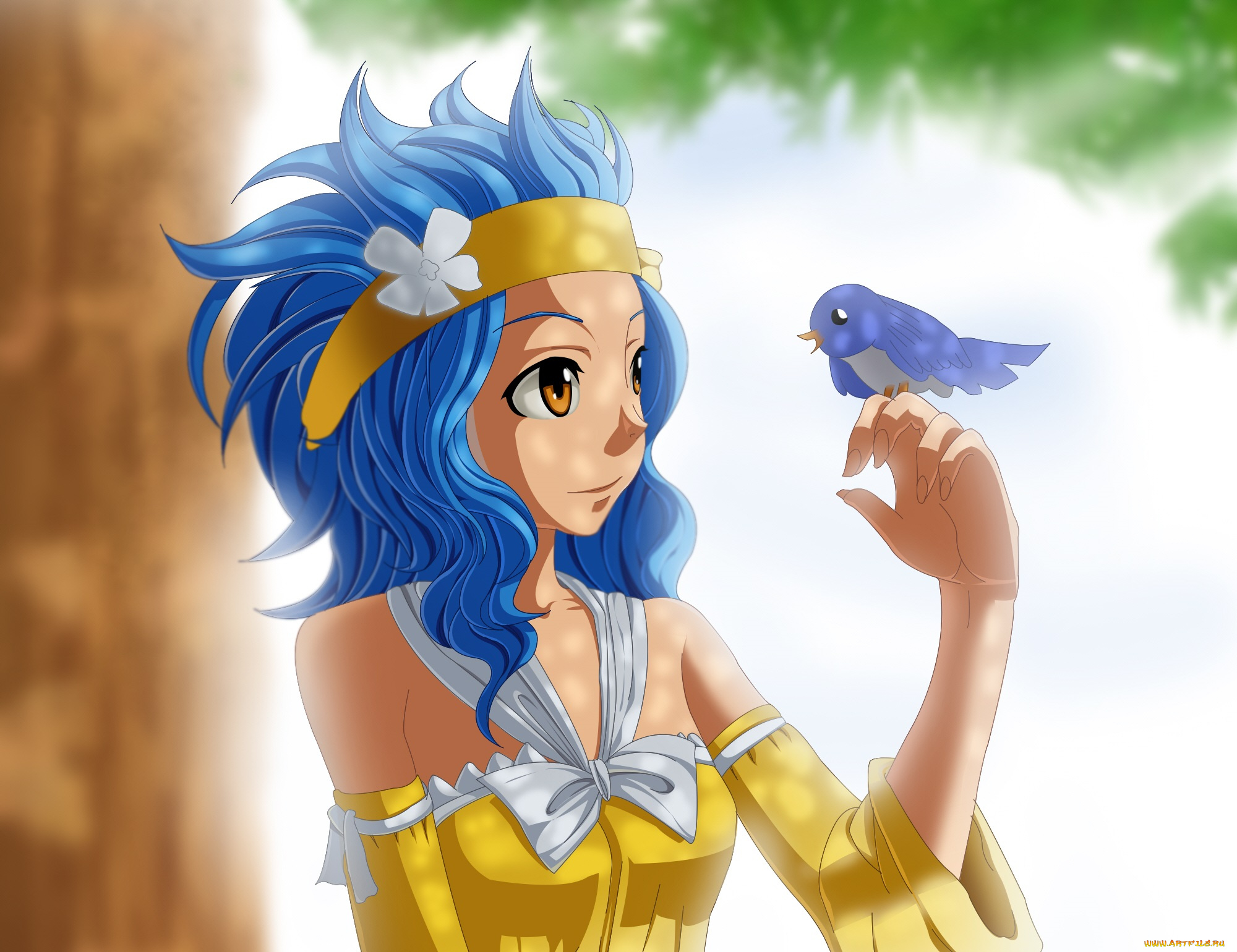 аниме, fairy, tail, хвост, феи