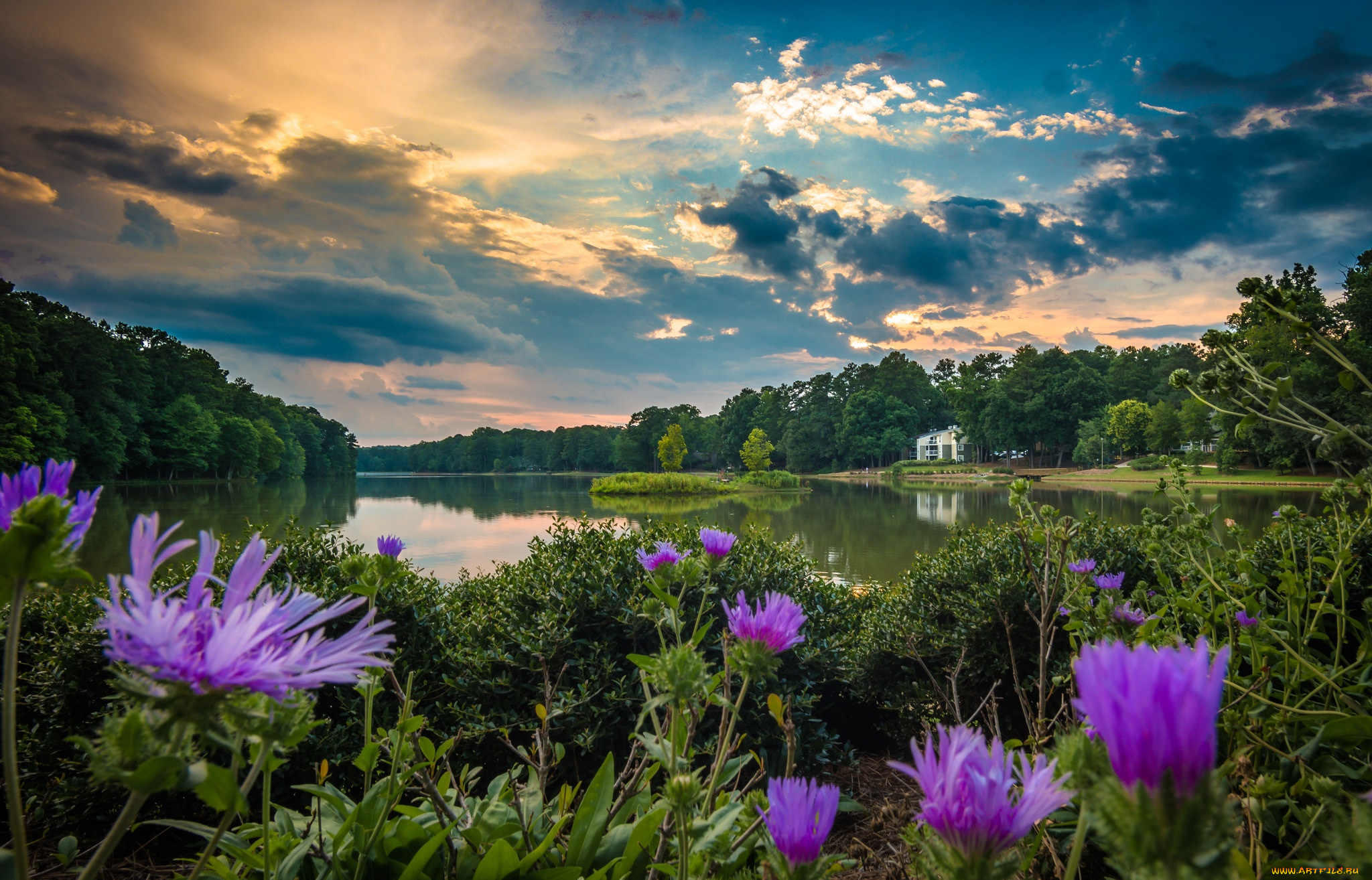 природа, реки, озера, вода, деревья, цветы, облака, река, небо