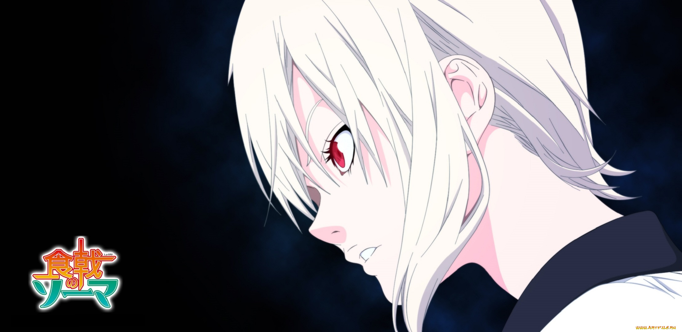 аниме, shokugeki, no, soma, профиль