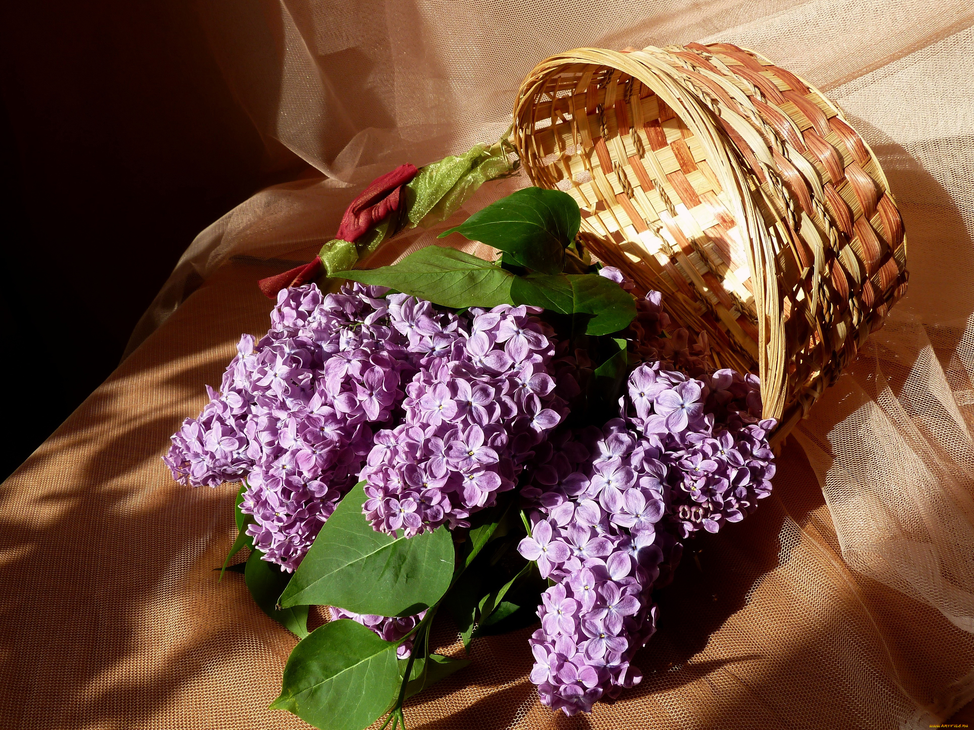 цветы, сирень, тени, ветки, корзина, ткань