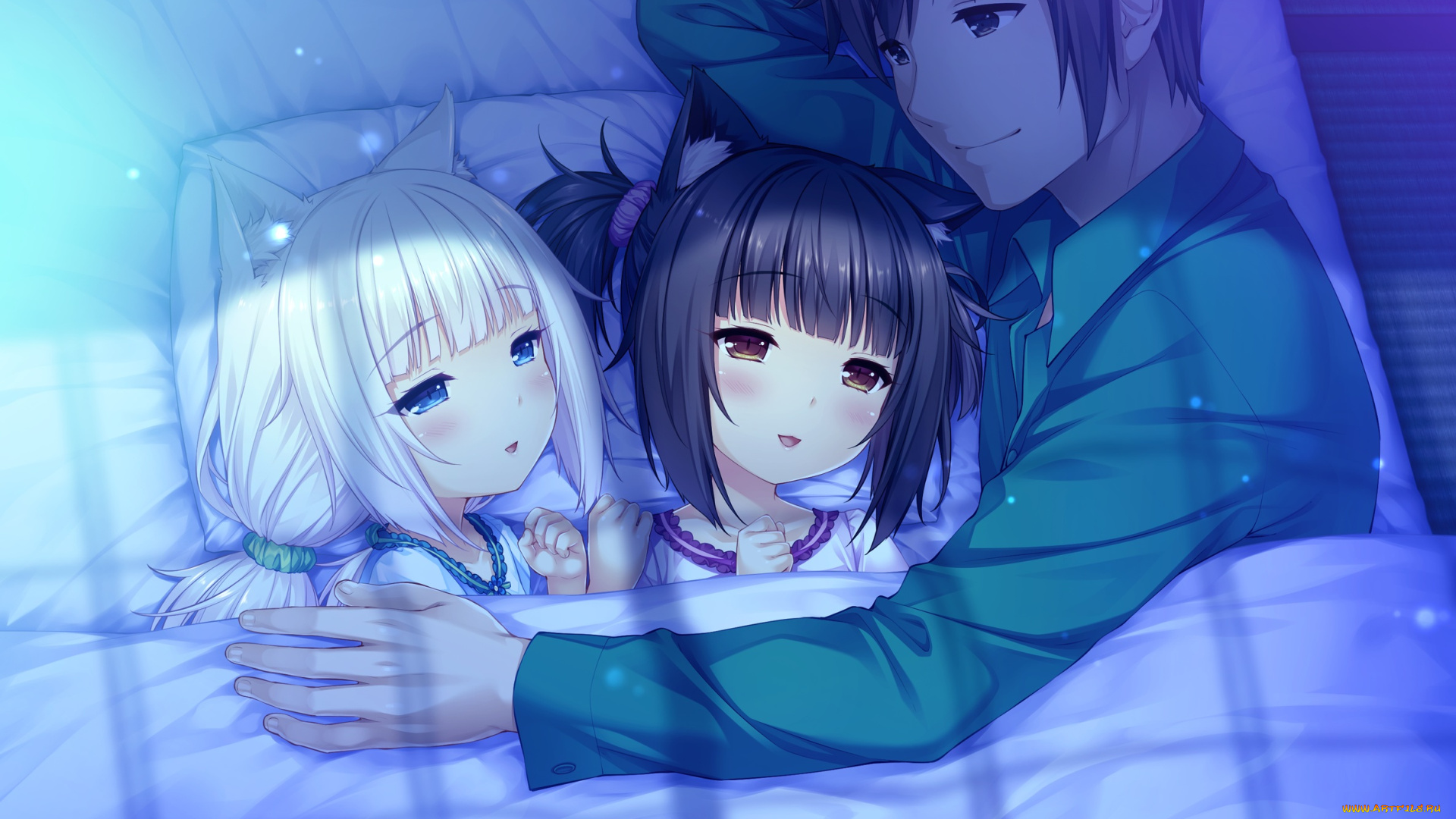 аниме, nekopara, девушки, фон, взгляд