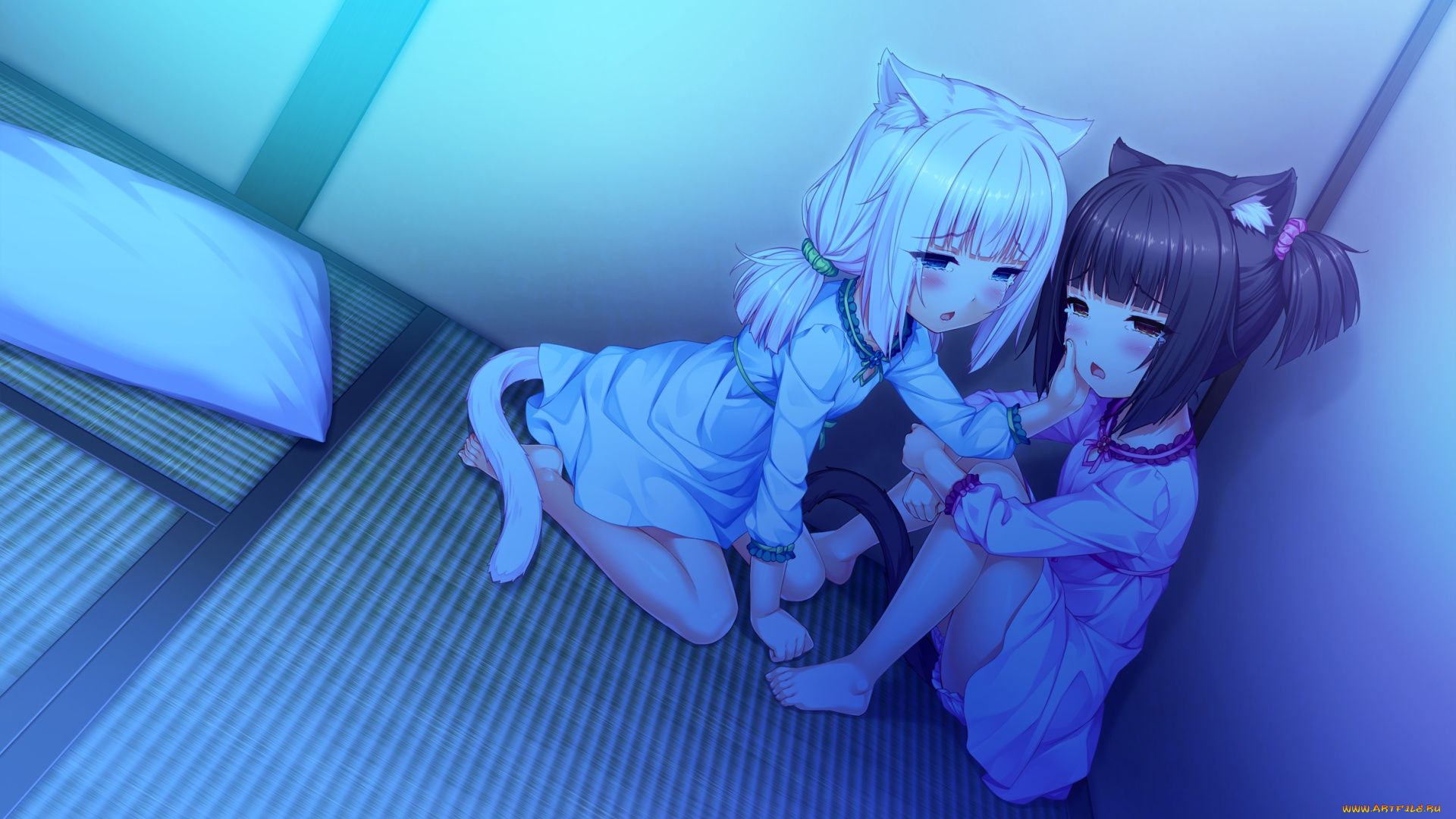 аниме, nekopara, фон, взгляд, девушки