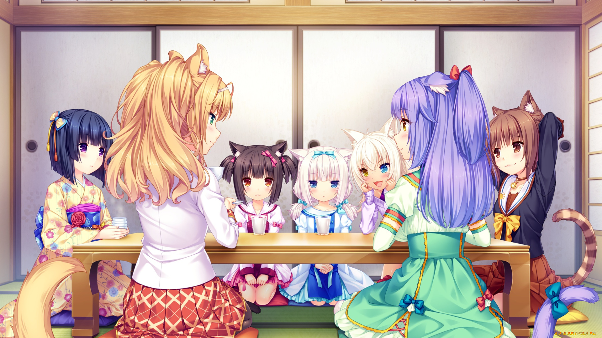 аниме, nekopara, взгляд, девушки, фон
