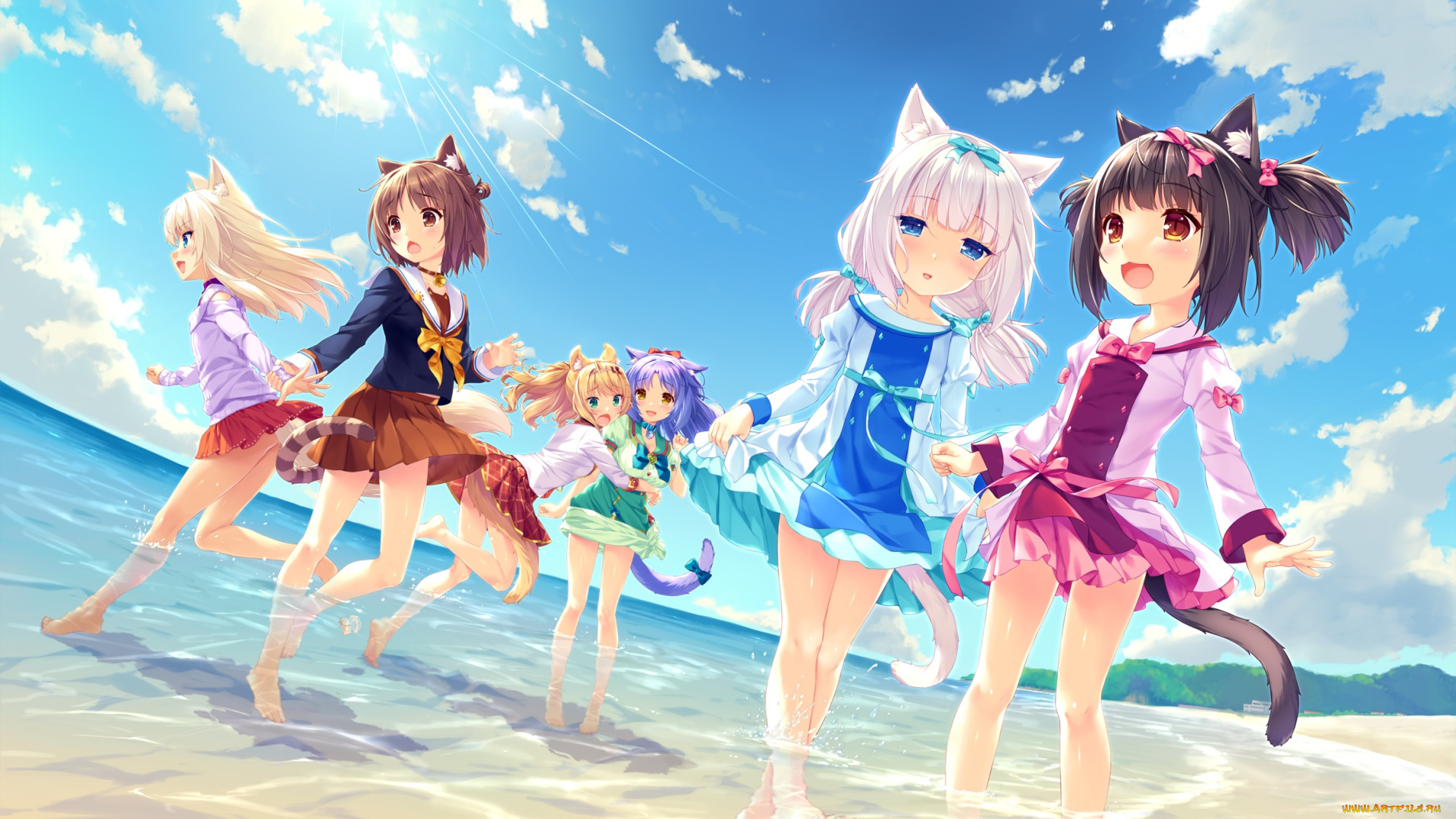 аниме, nekopara, взгляд, девушки, фон