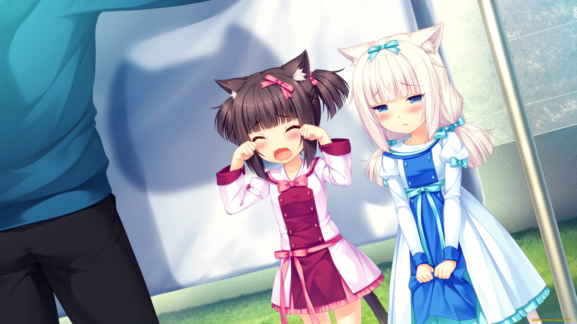 аниме, nekopara, взгляд, фон, девушки