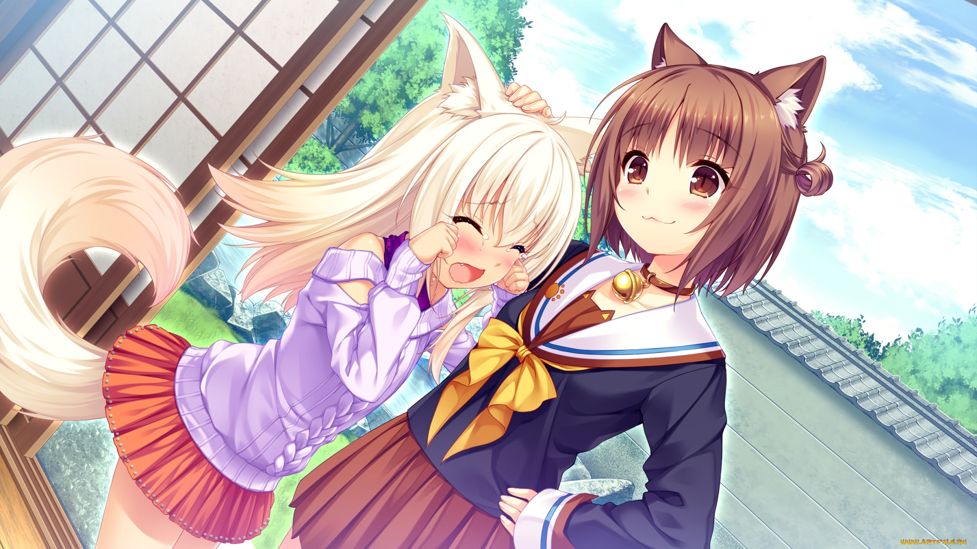 аниме, nekopara, взгляд, фон, девушки